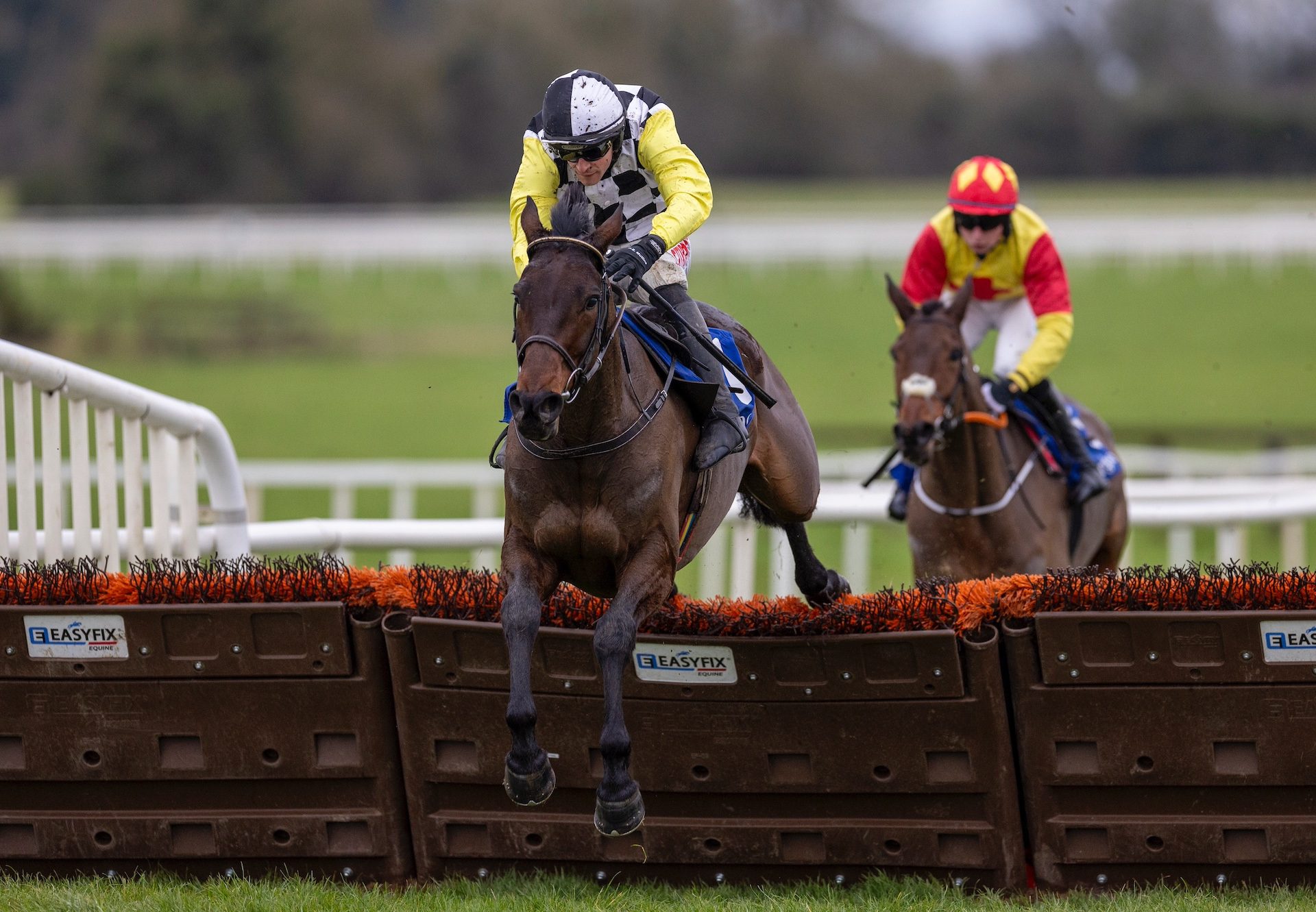 Inn At The Park (Walk In The Park) Wins The Maiden Hurdle At Fairyhouse