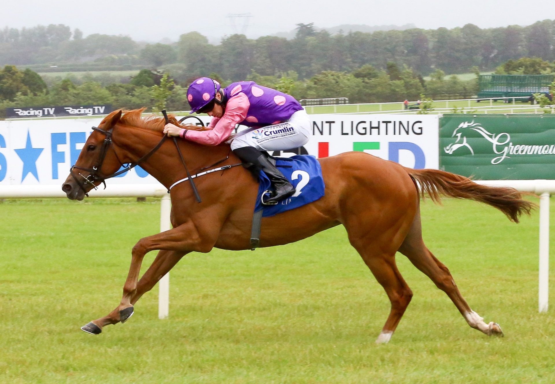 Inner Beauty (Starspangledbanner) Wins Her Maiden At Limerick