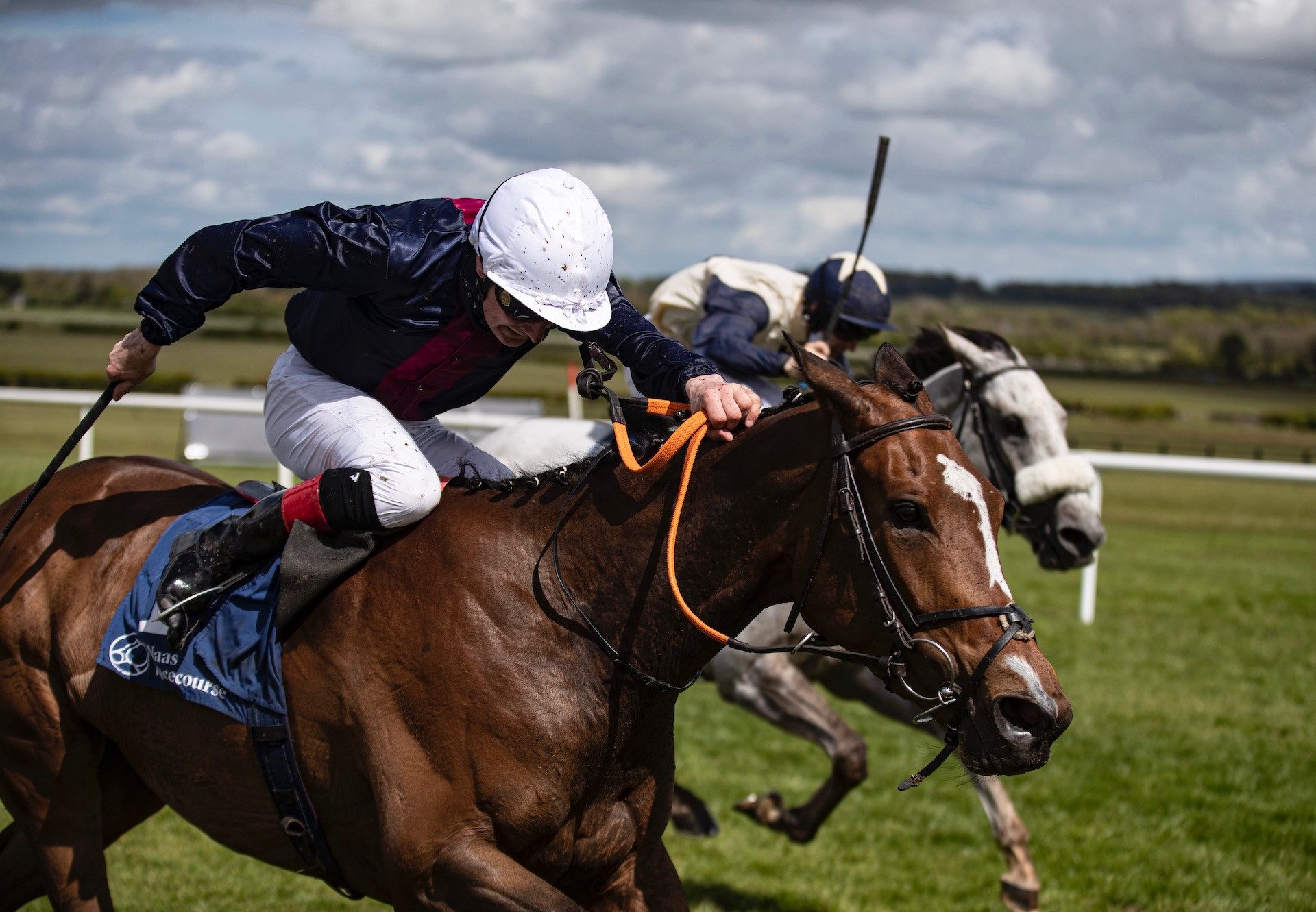 Insinuendo (Gleneagles) Wins The Group 3 Blue Wind Stakes At Naas