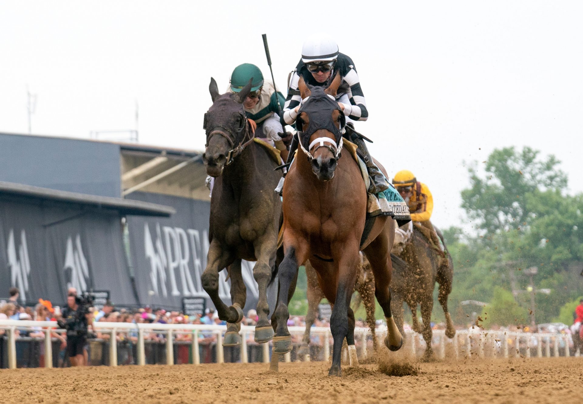 Interstatedaydream (Classic Empire) winning the Gr.2 Black-Eyed Susan At Pimlico