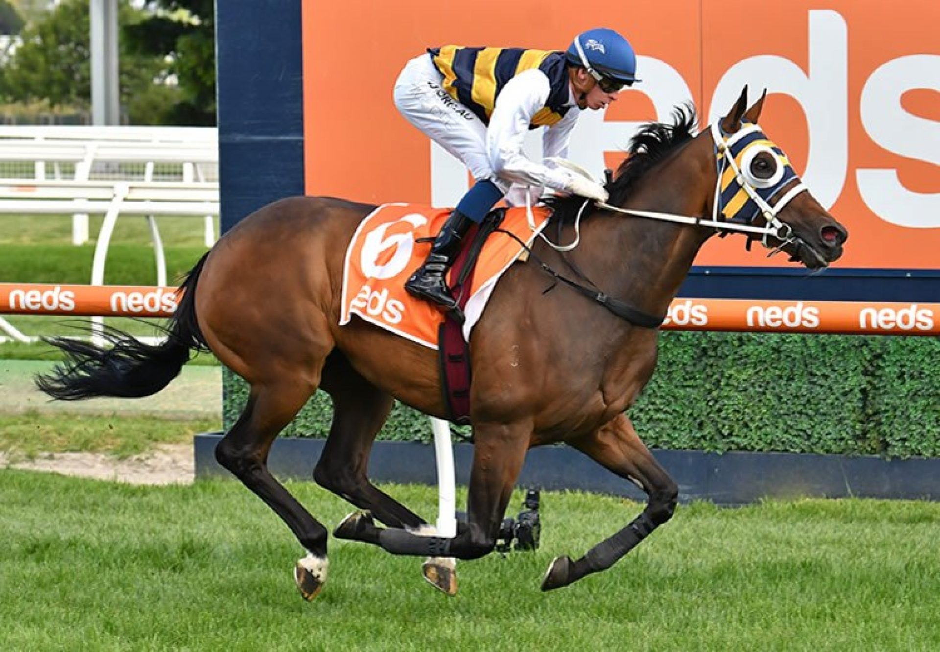 Inverloch (Fastnet Rock) winning the Listed Mornington Cup Prelude at Caulfield