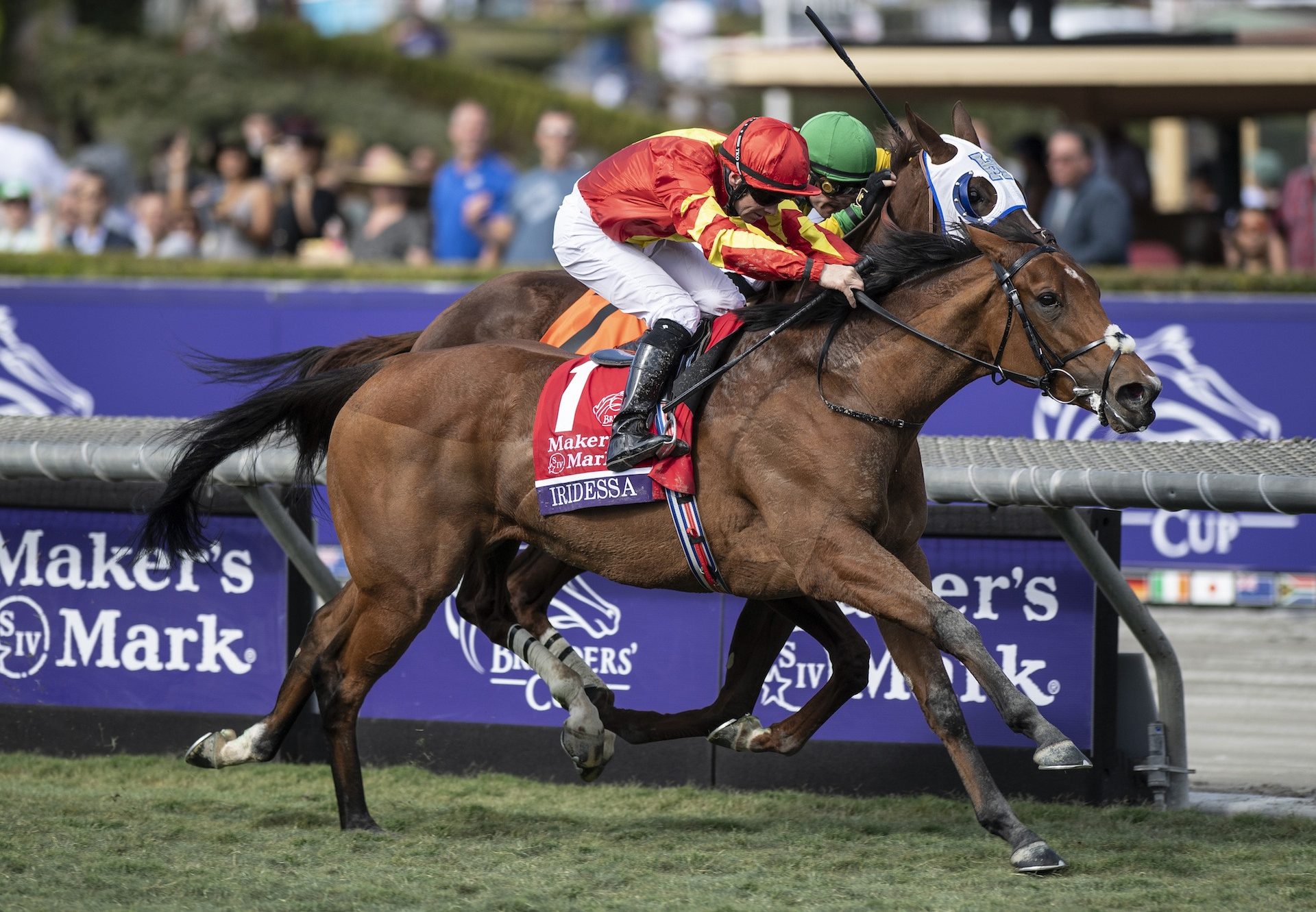 Iridessa (Ruler Of The World) Wins The Breeders Cup Fillies And Mares Turf at Santa Anita