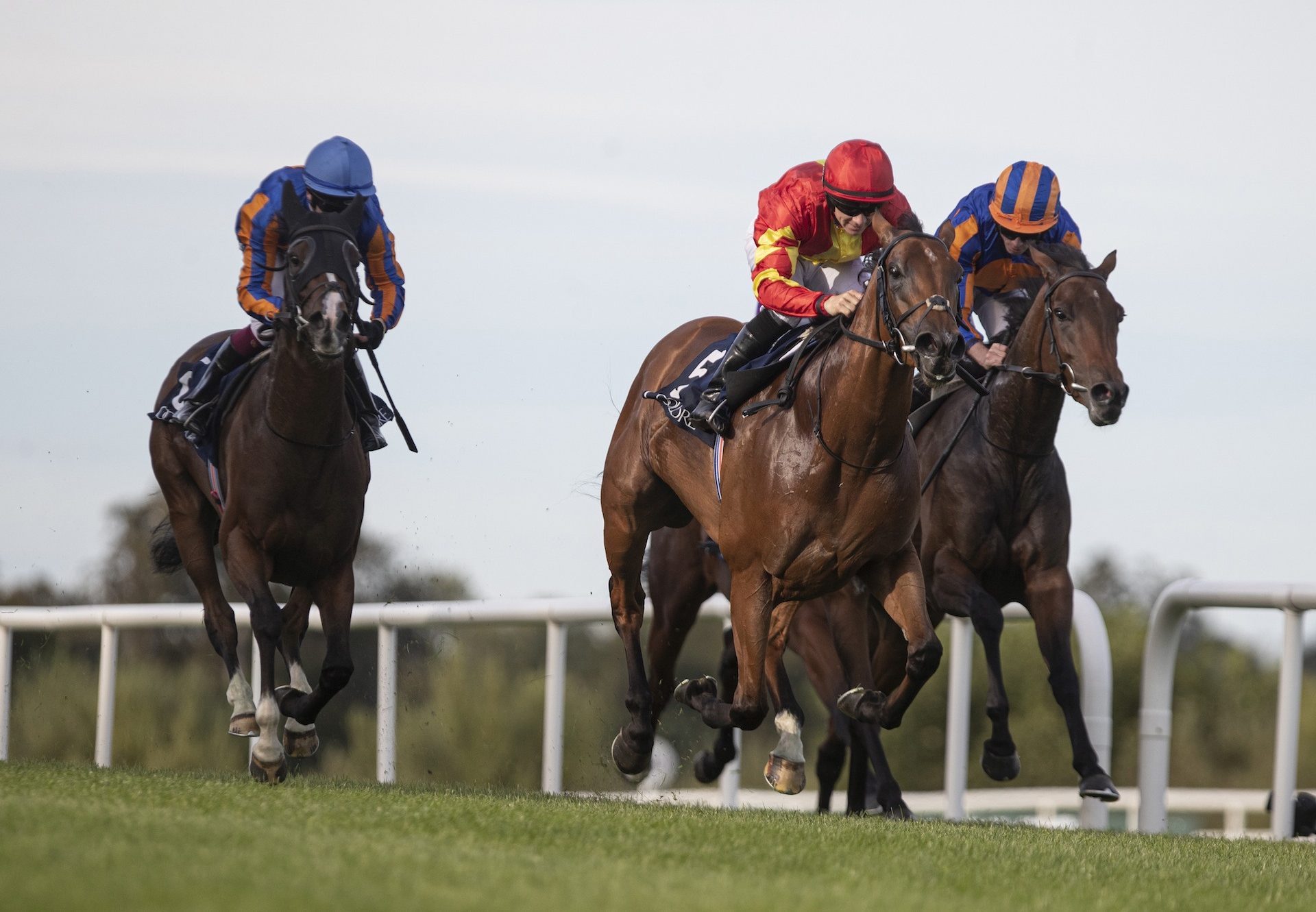 Iridessa (Ruler Of The World) wins the Gr.1 Matron Stakes at Leopardstown