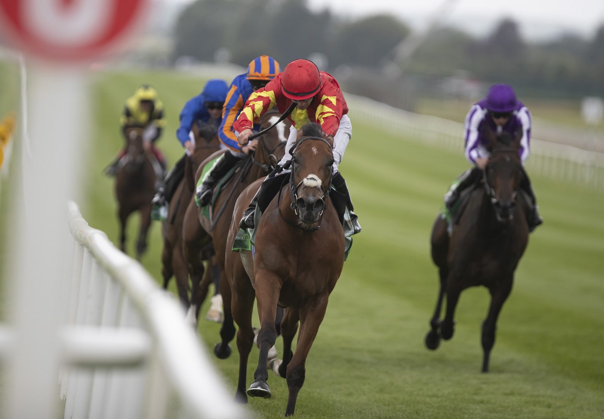 Iridessa (Ruler Of The World) winning the Gr.1 Pretty Polly at the Curragh