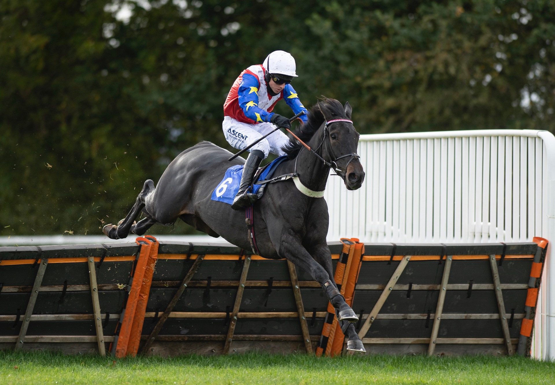 Isolate (Maxios) Wins The Novice Hurdle At Taunton