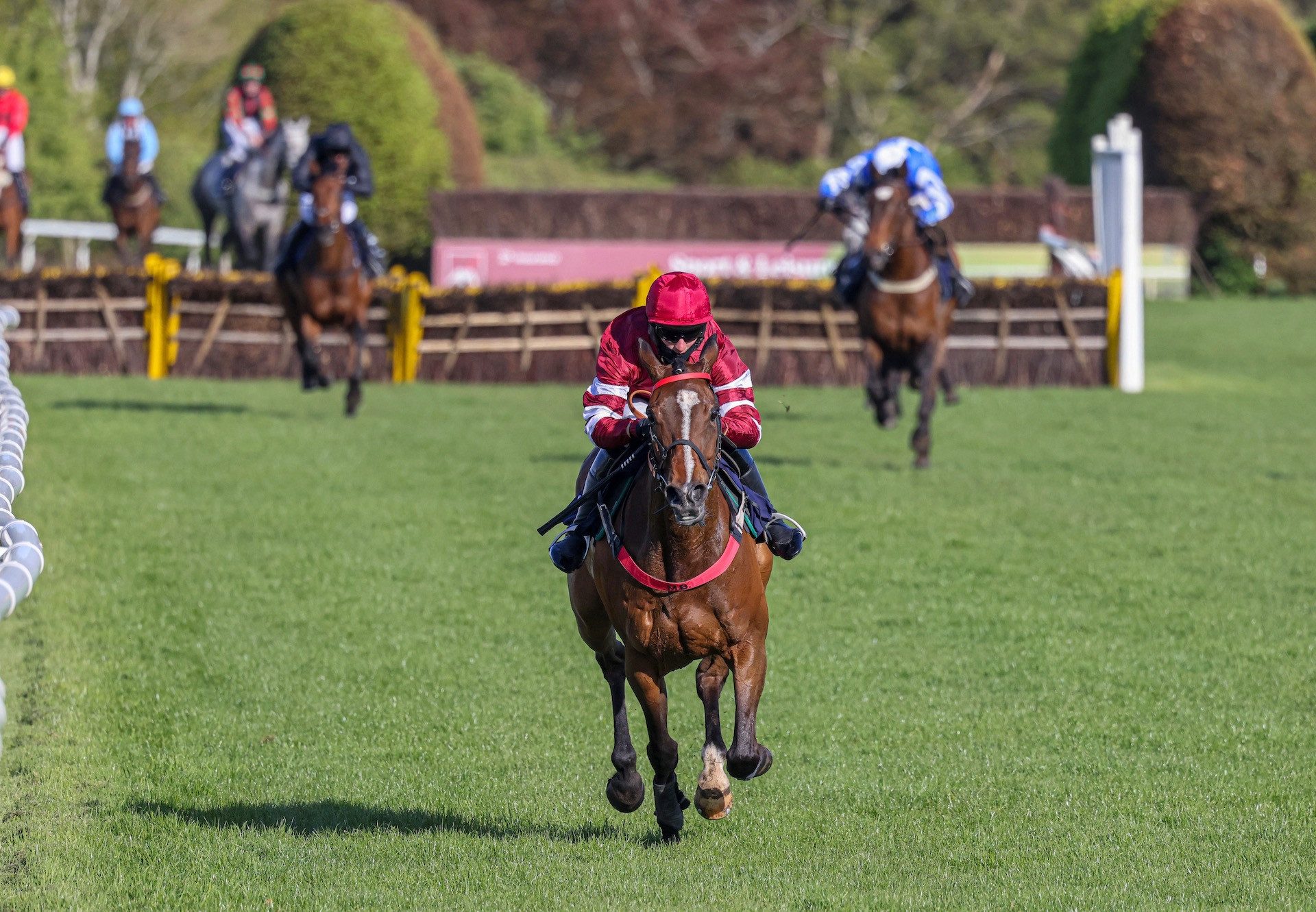 Itsnotyouitsme (Milan) Lands The Novices Hurdle At Hexham