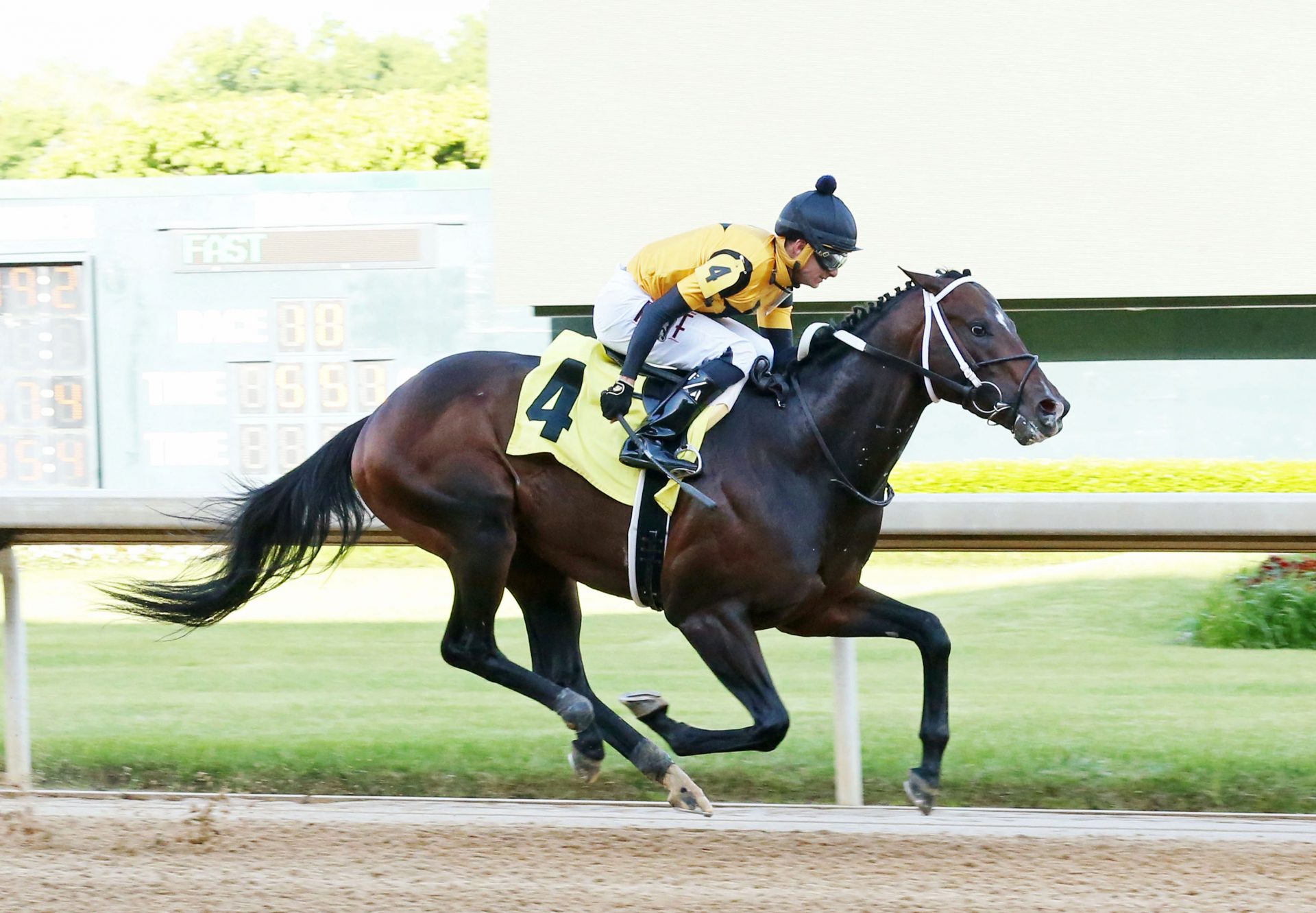 Jaxon Traveler (Munnings) The Listed Bachelor at Oaklawn Park