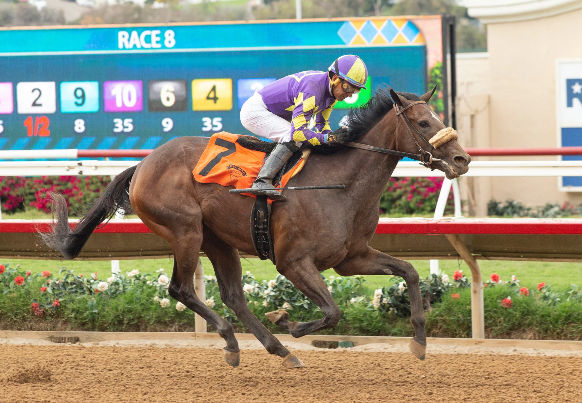 Justique (Justify) Wins Del Mar MSW