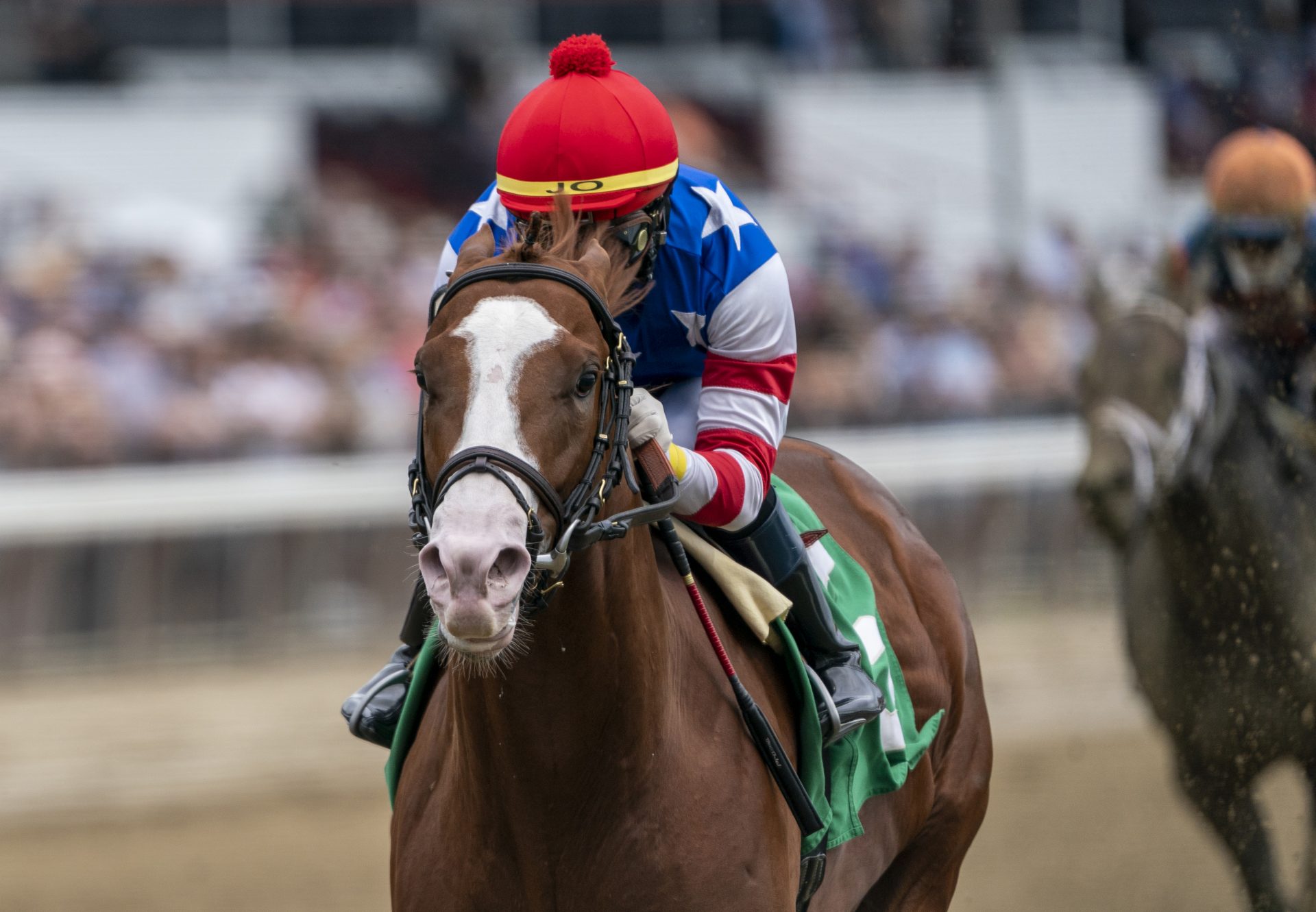 Jack Christopher (Munnings) Wins Saratoga MSW