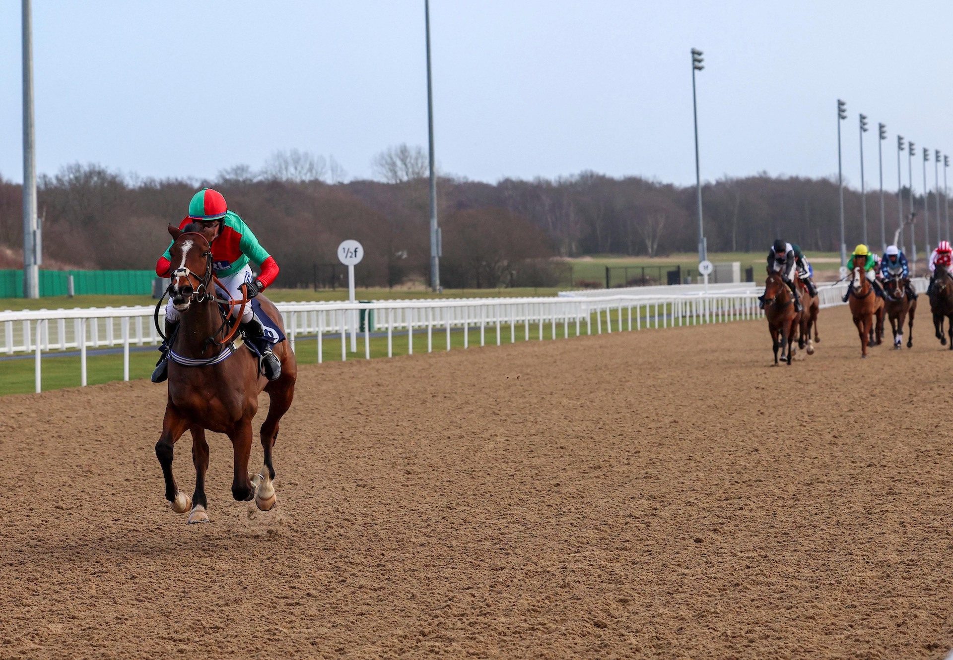 Jack Hyde (Soldier Of Fortune) Impresses At Newcastle