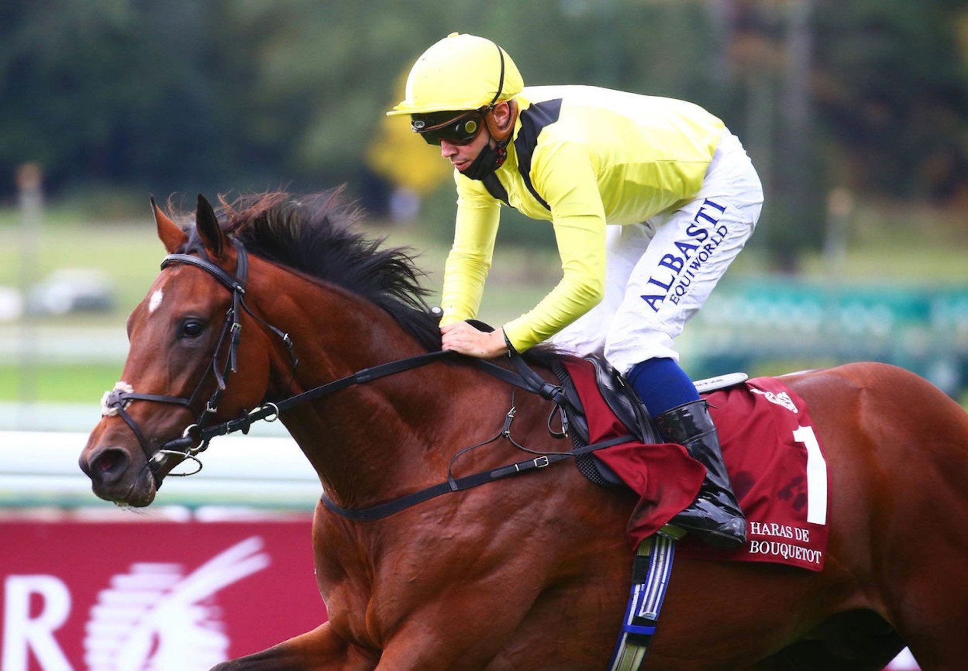 Jadoomi (Holy Roman Emperor) Wins At ParisLongchamp