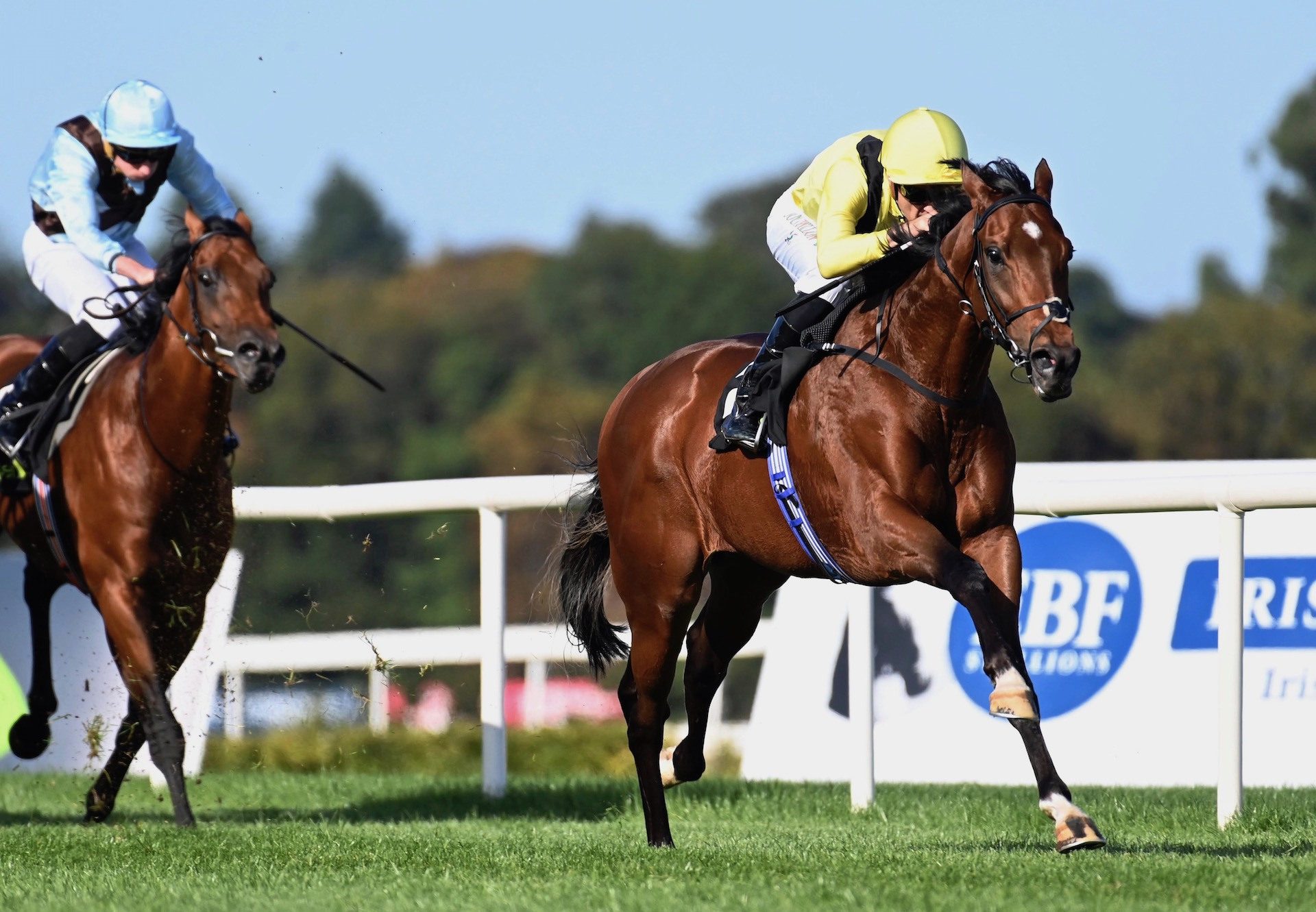 Jadoomi (Holy Roman Emperor) Wins The Group 2 Boomerang Mile at Leopardstown