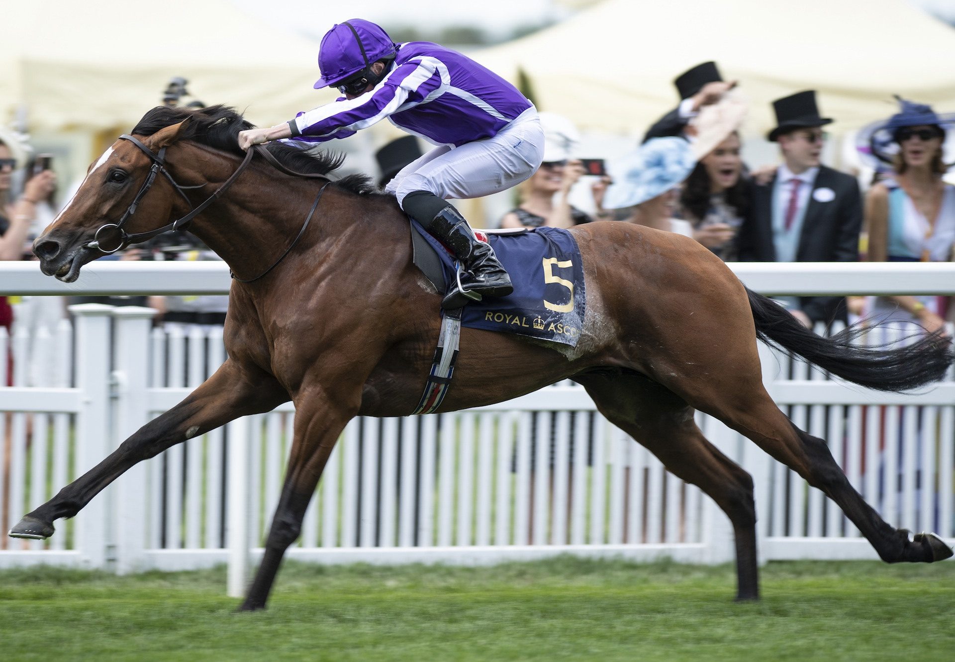 Japan (Galileo) Wins At Royal Ascot