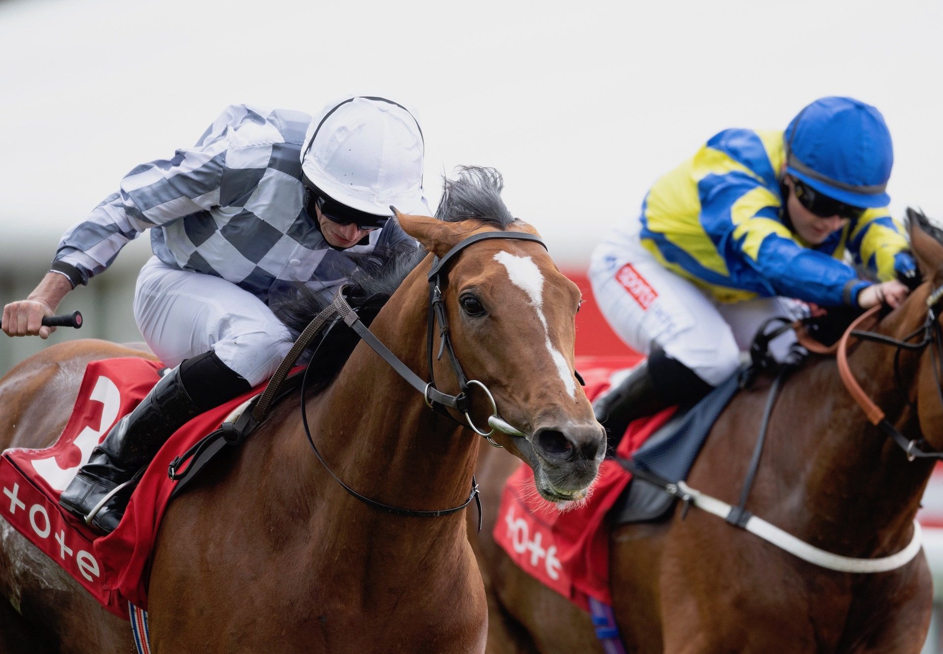 Japan (Galileo) Wins The Group 3 Ormonde Stakes At Chester