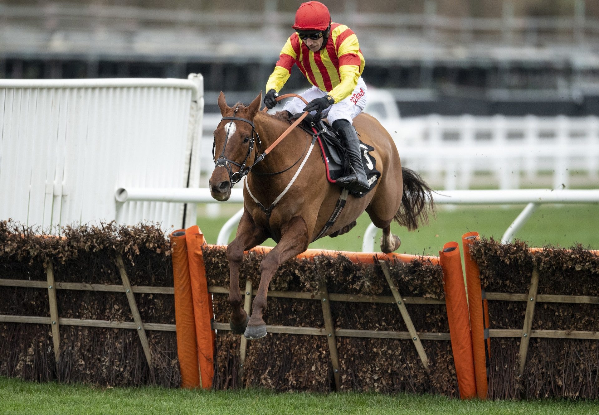 Jarveys Plate (Getaway) Takes The Ballymore Novices Hurdle For Getaway