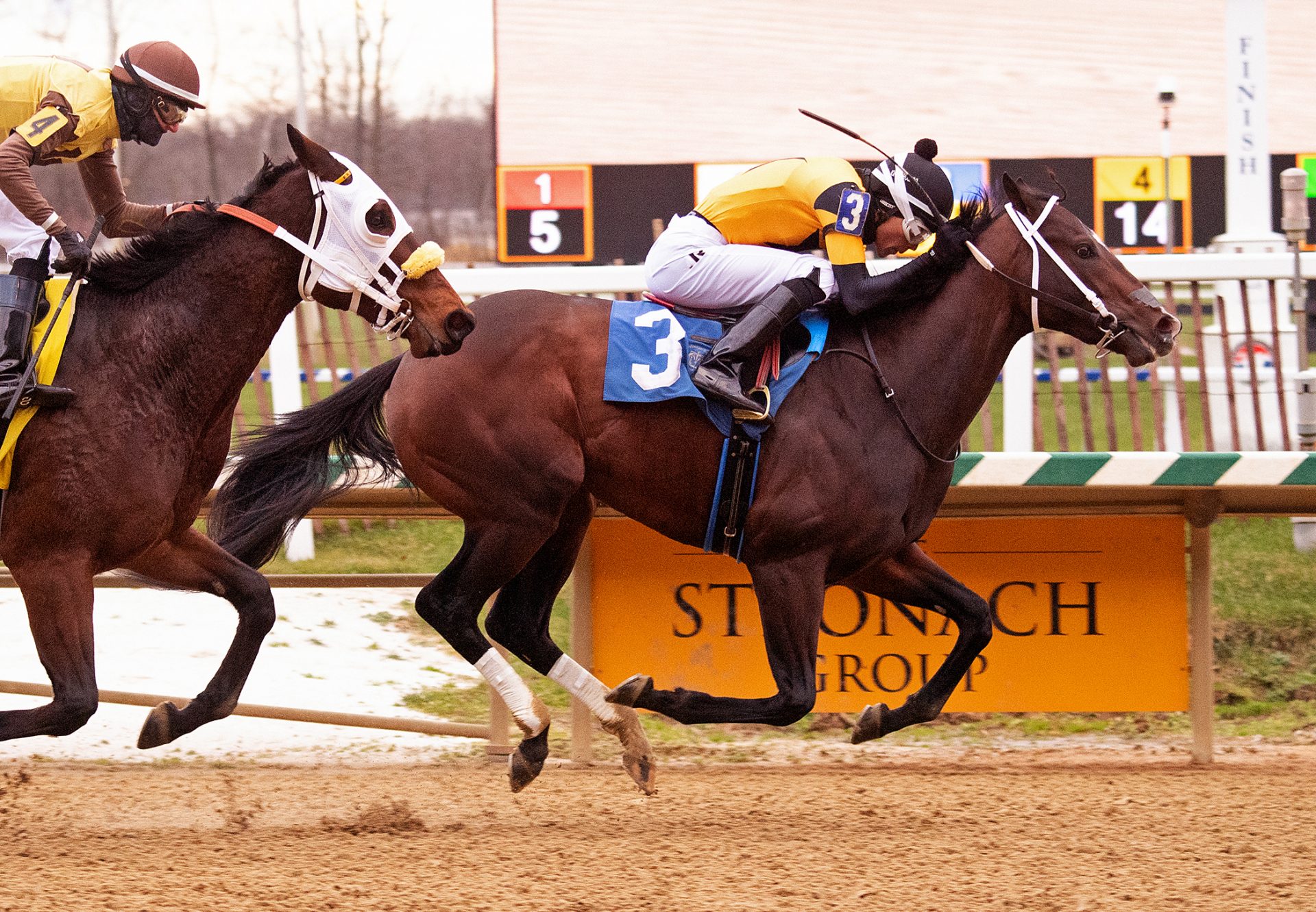 Jaxon Traveler (Munnings) Wins Maryland Juvenile Futurity