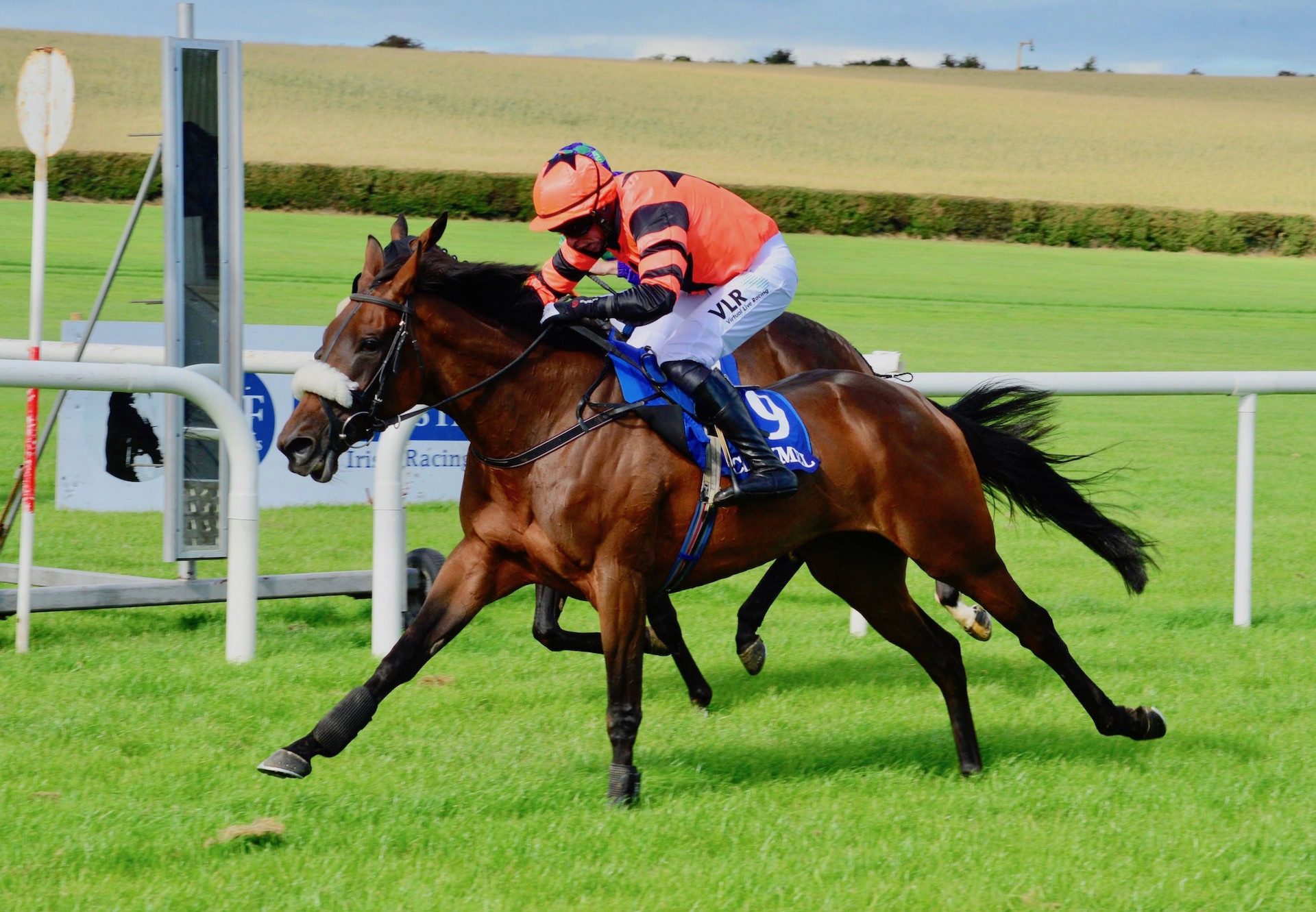 Jelona (Milan) Wins The Mares Maiden Hurdle At Clonmel