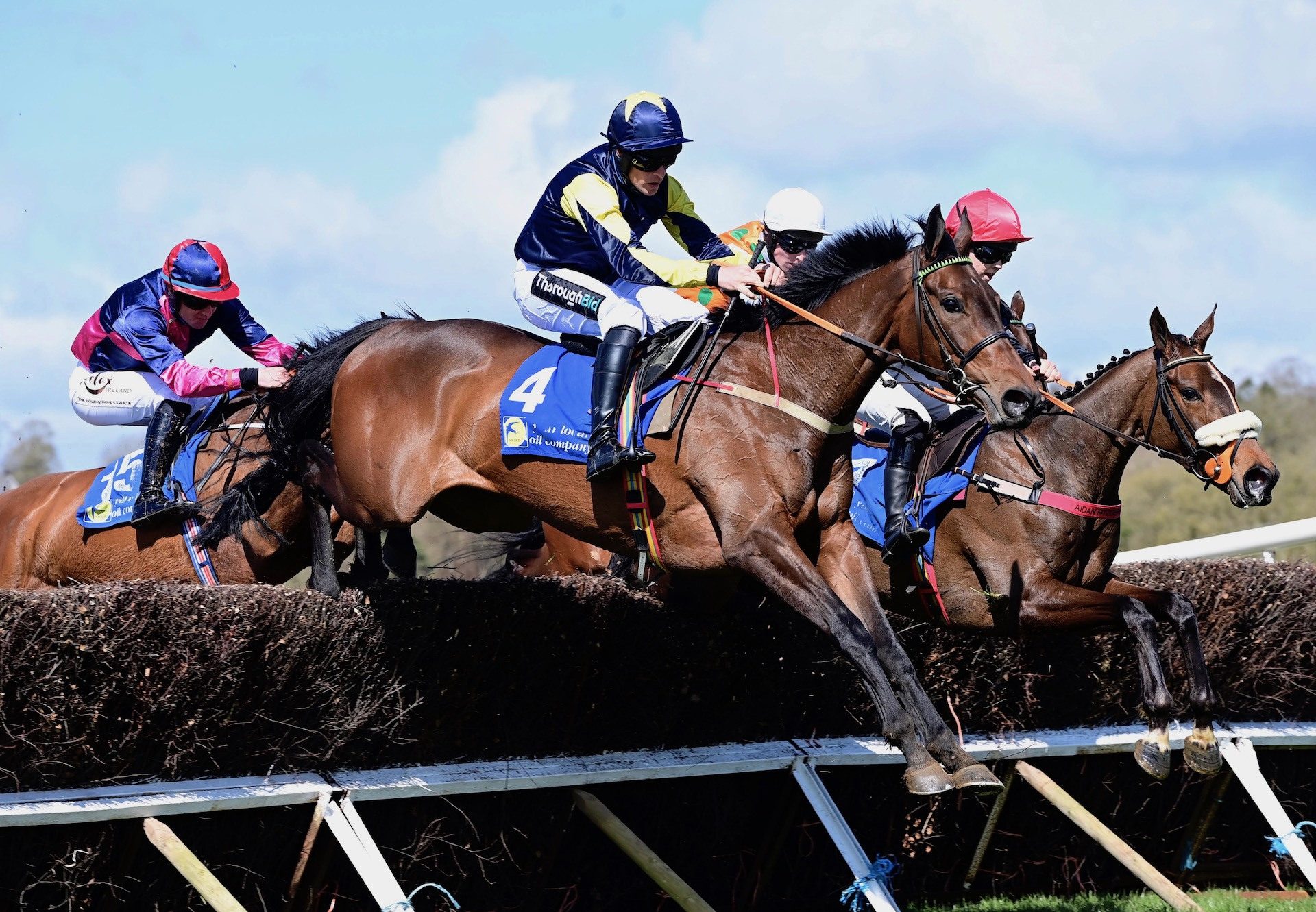 Jenny Flex (Walk In The Park) Wins The Four Year Old Mares Maiden At Cork