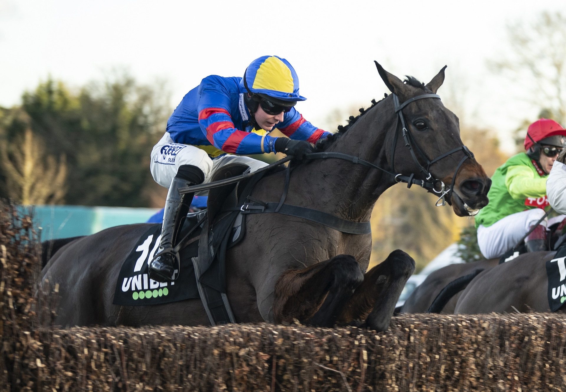 Jepeck (Westerner) Wins The Valuable Veterans Chase At Sandown