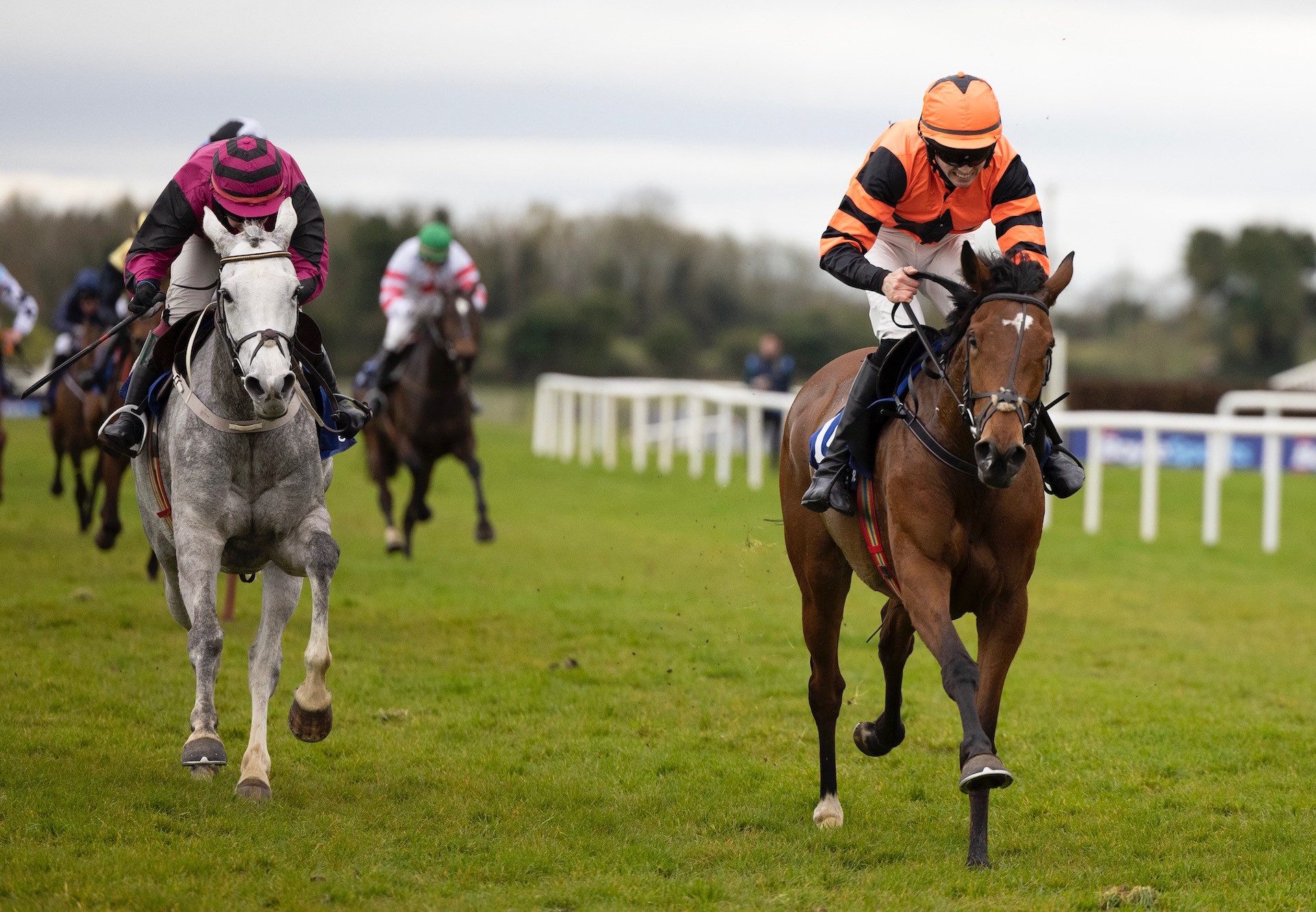 Jetara (Walk In The Park) Makes A Winning Debut At Fairyhouse