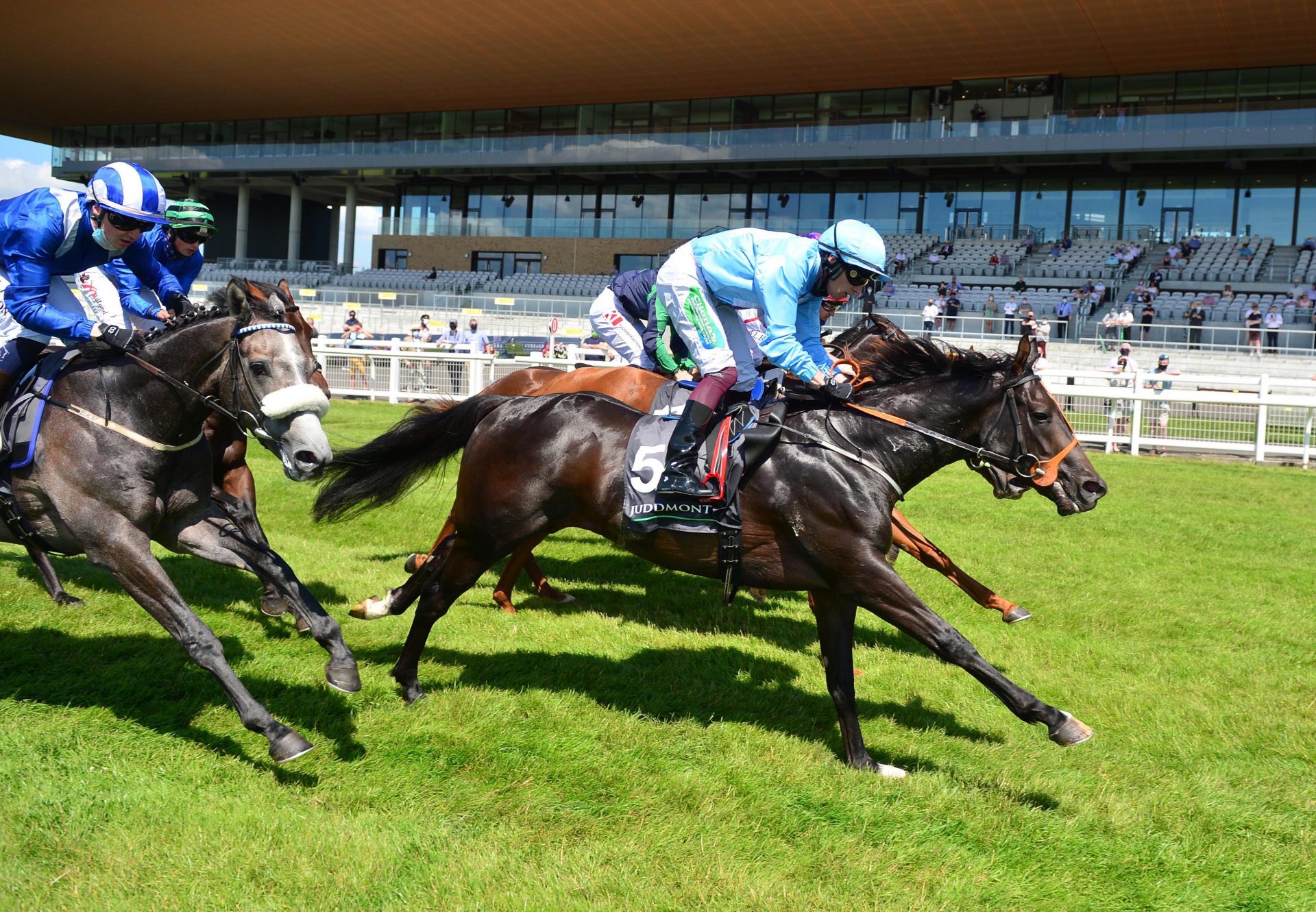 John The Baptist (Caravaggio) Winning At The Curragh