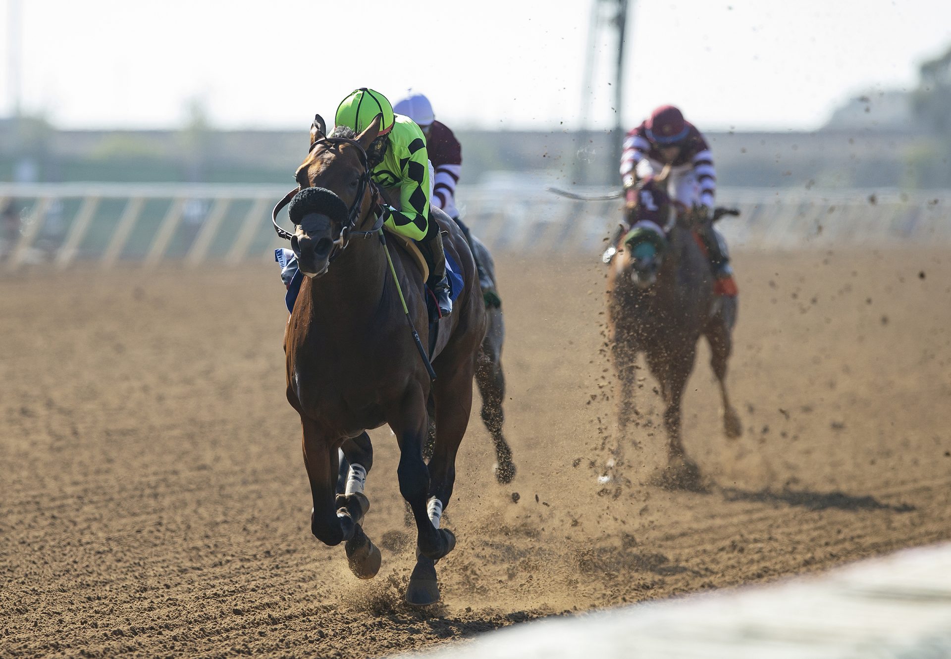 Joker Boy (Practical Joke) Wins Im Smokin Stakes at Del Mar