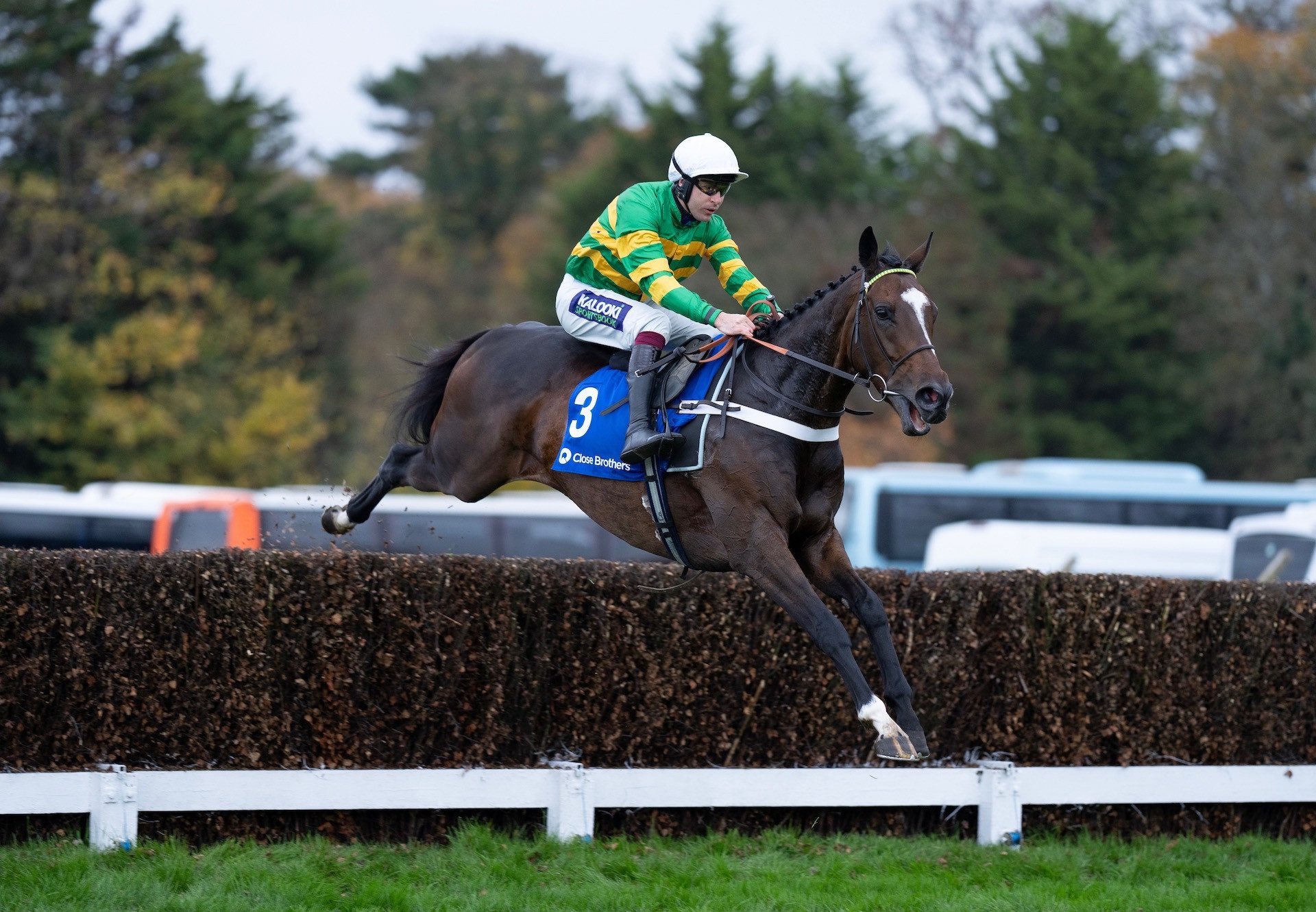 Jonbon (Walk In The Park) Wins The Grade 1 Henry VII Novices Chase At Sandown