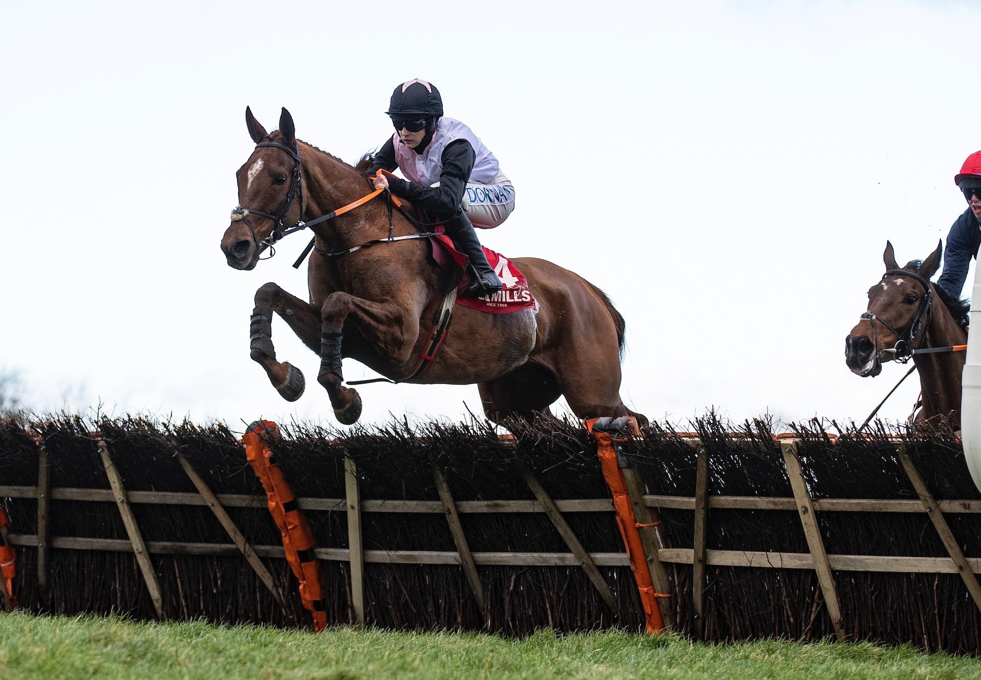 Journey With Me (Mahler) Extends His Unbeaten Record At Naas