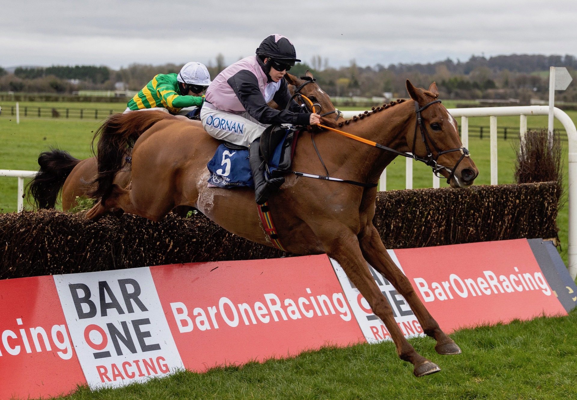 Journey With Me (Mahler) Wins The Grade 3 Directors Plate Novice Chase at Naas