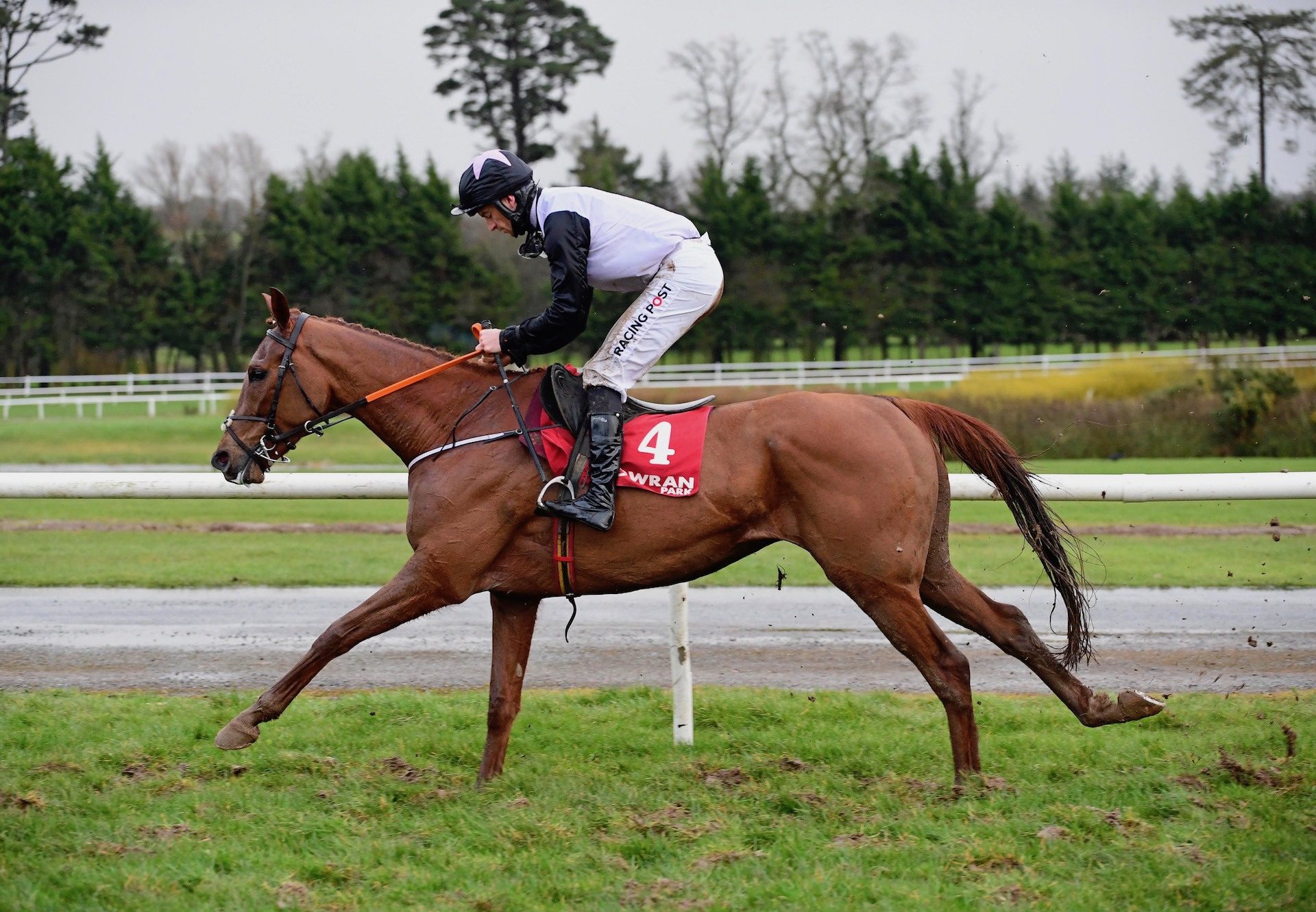 Journey With Me (Mahler) Wins The Bumper At Gowran Park