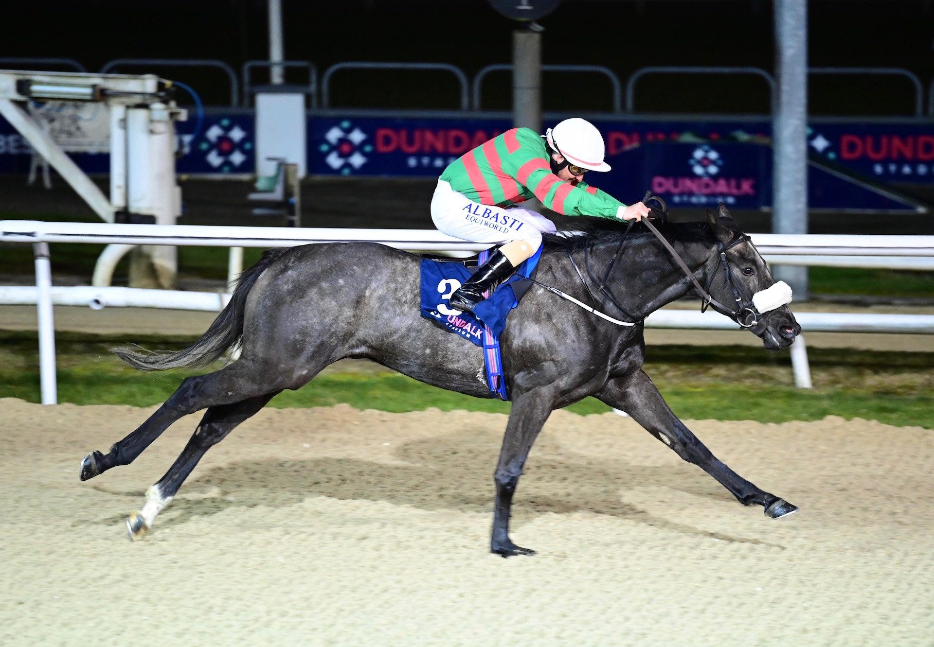 Jungle Cove (Mastercraftsman) Wins The Mile Maiden At Dundalk