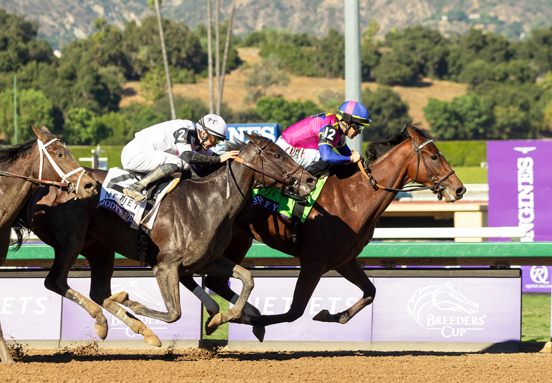 Just F Y I (Justify) Wins Gr.1 Breeders Cup Juvenile Fillies at Santa Anita