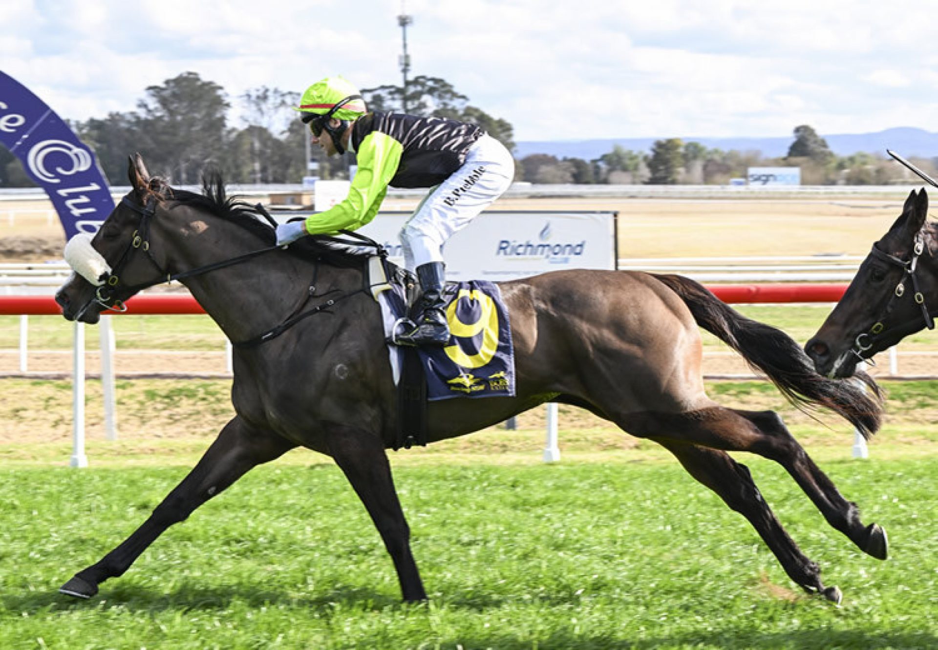 Just Gisella (Justify) winning at Hawkesbury