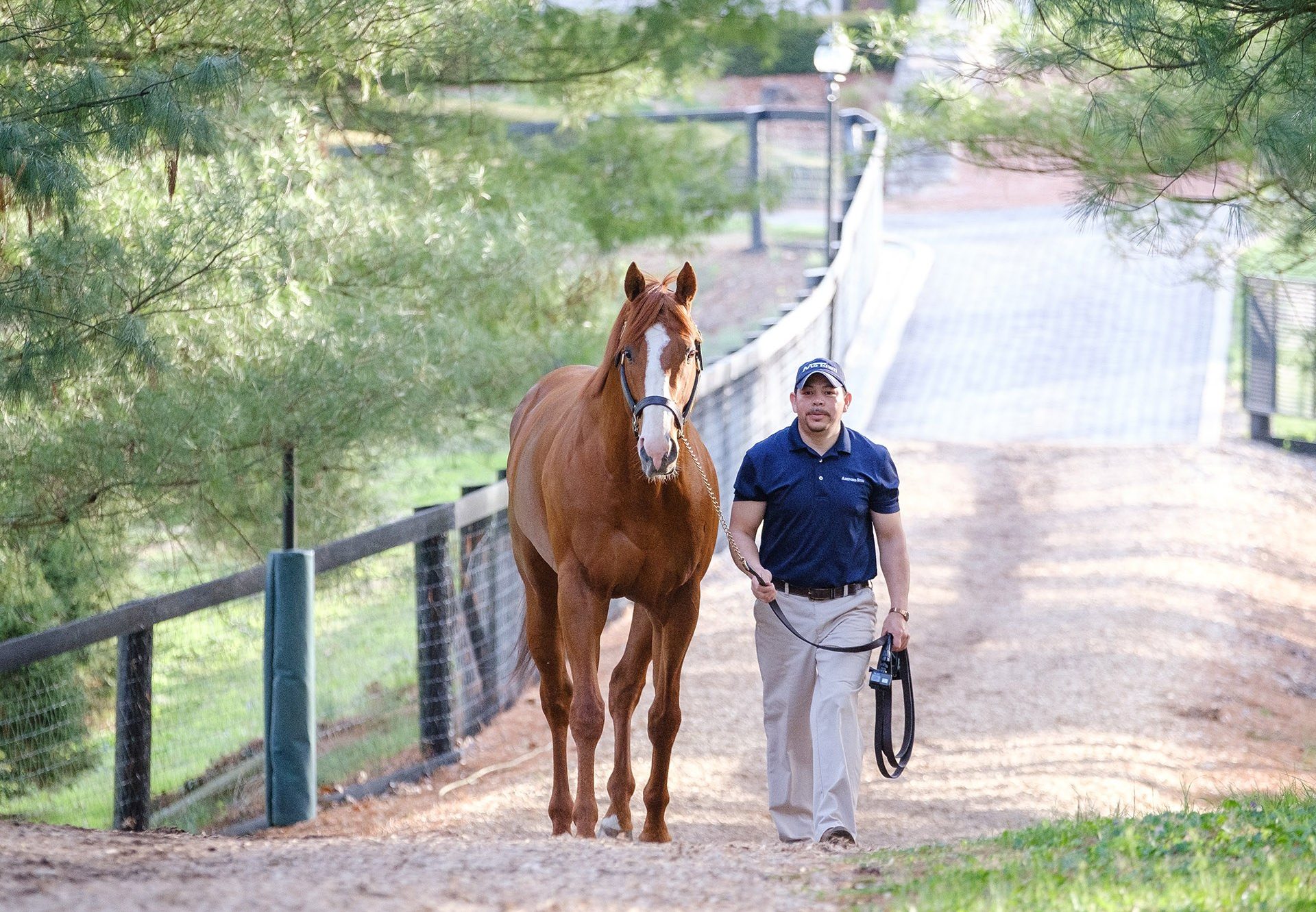 Justify walking