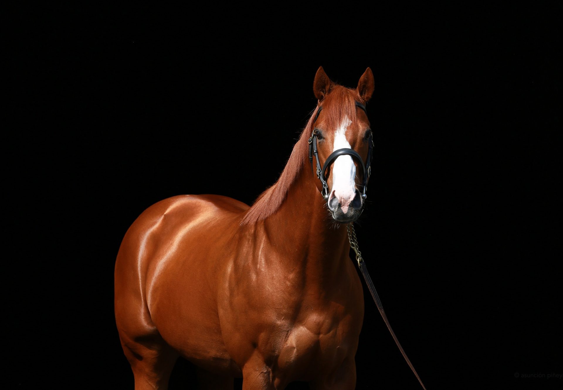 Justify head shot