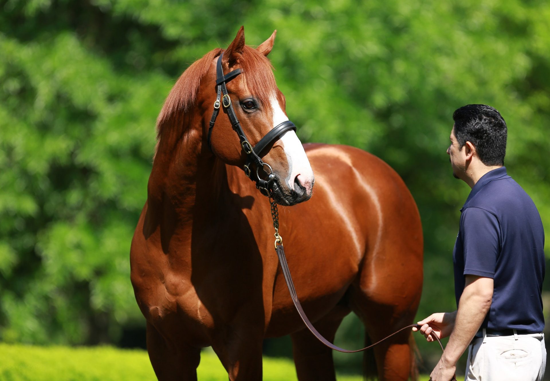 Justify Head