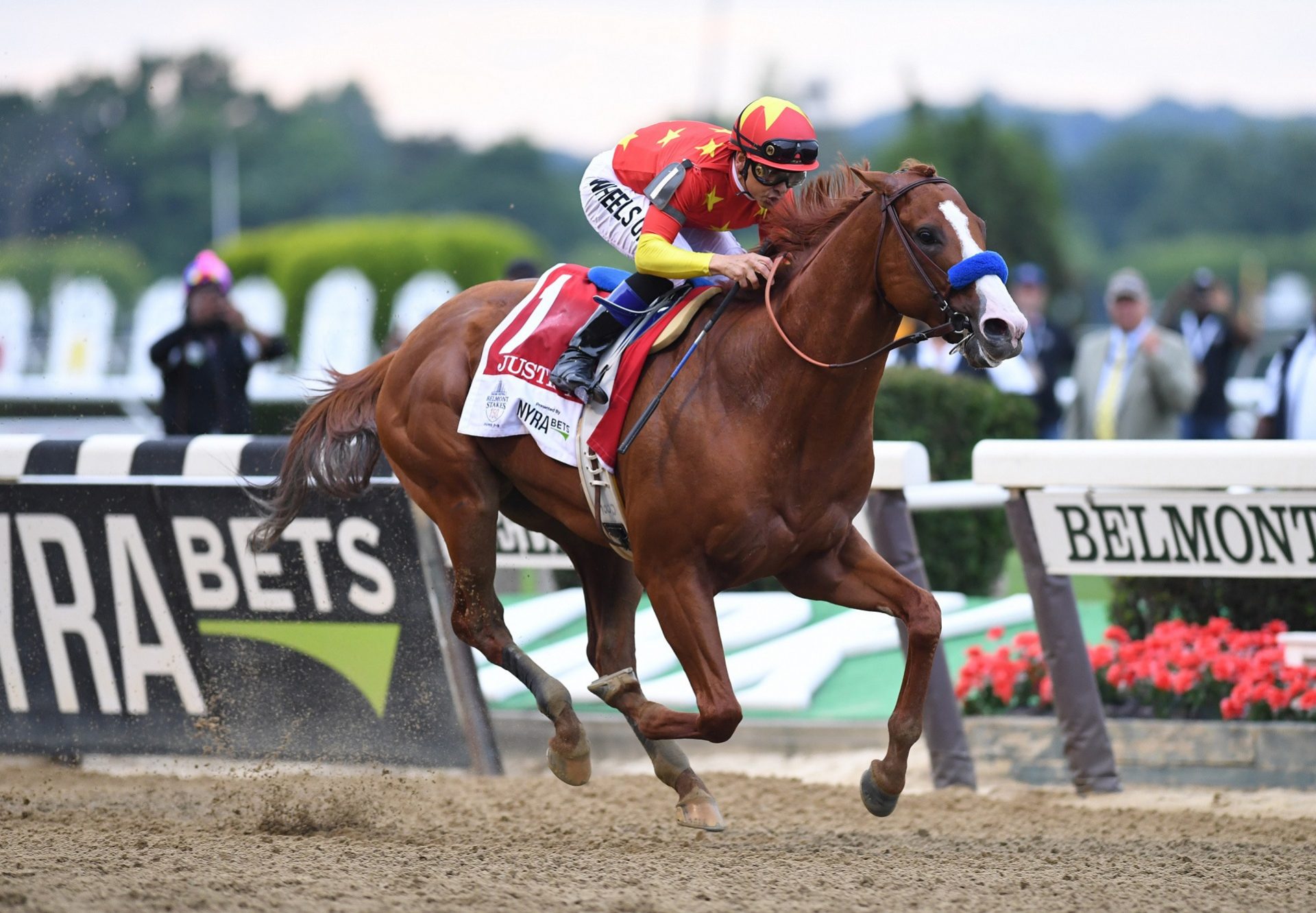 Justify winning the G1 Belmont Stakes at Belmont Park