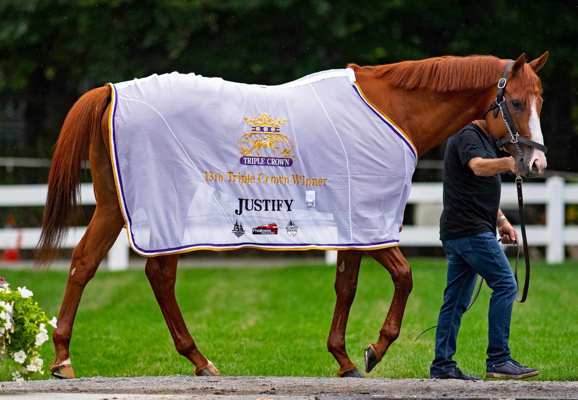 Justify