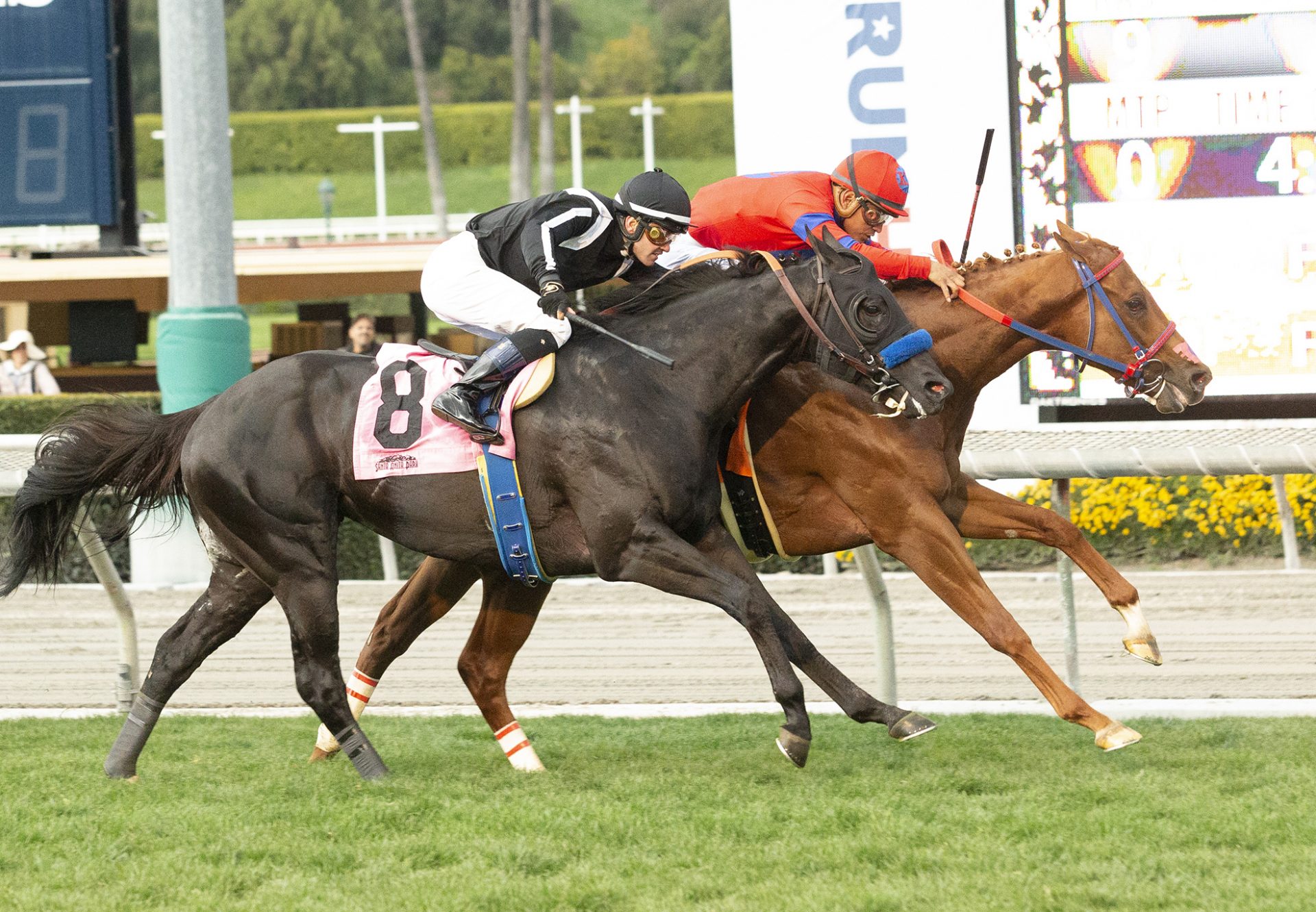 K P Indy (Competitive Edge) wins Santa Anita maidenaiden Winner