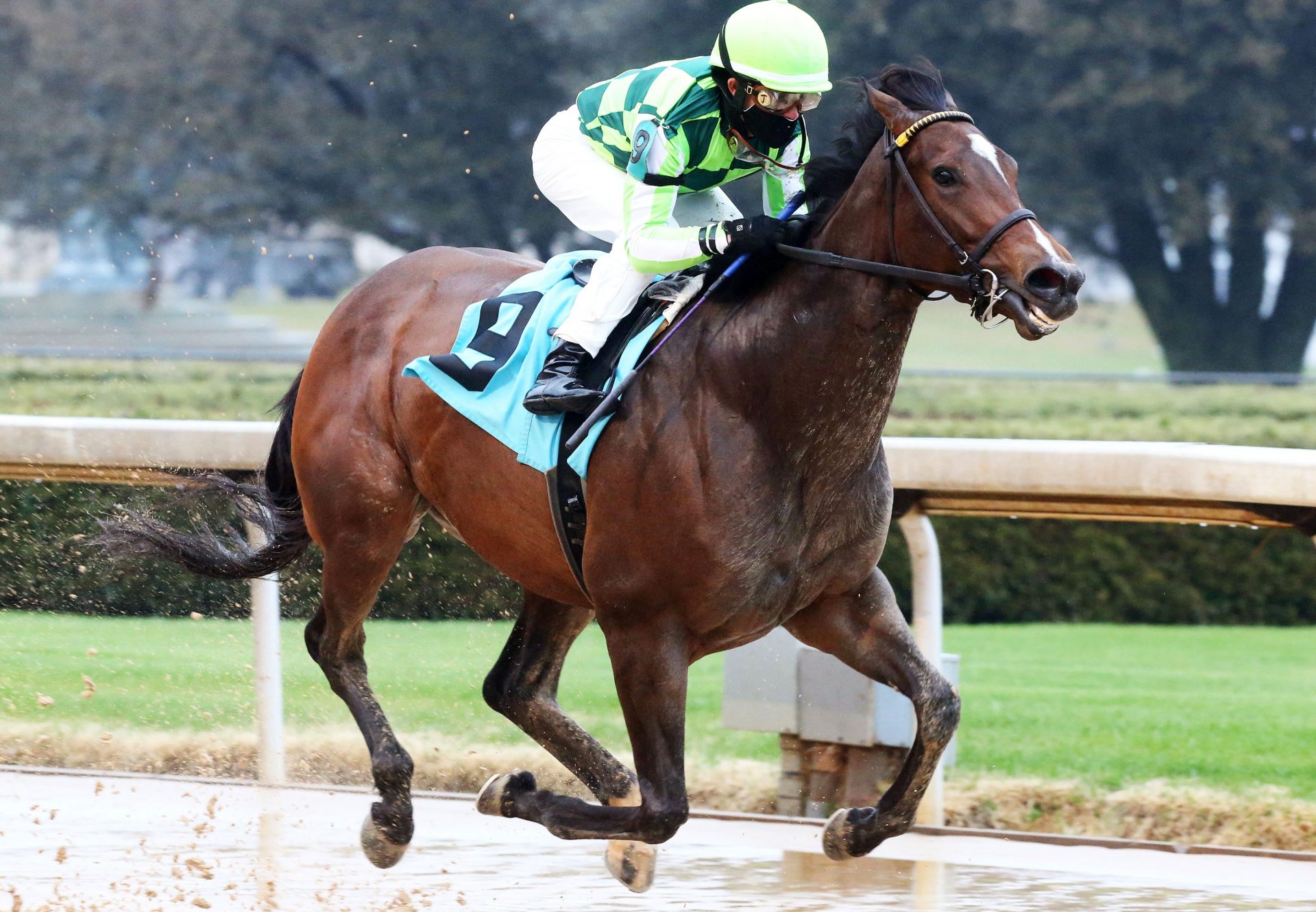 Kimari (Munnings) wins The Spring Fever Stakes at Oaklawn Park