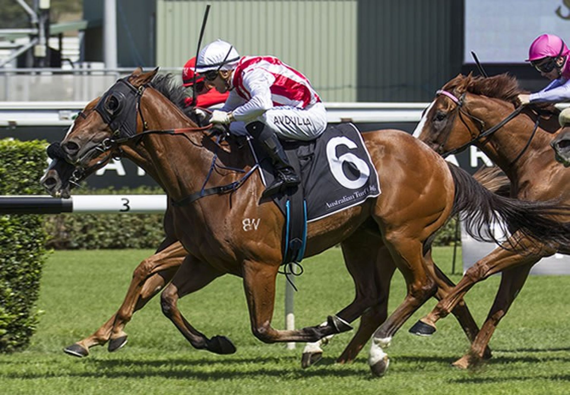 Kaepernick (Fastnet Rock) winning the G3 Southern Cross Stakes at Randwick