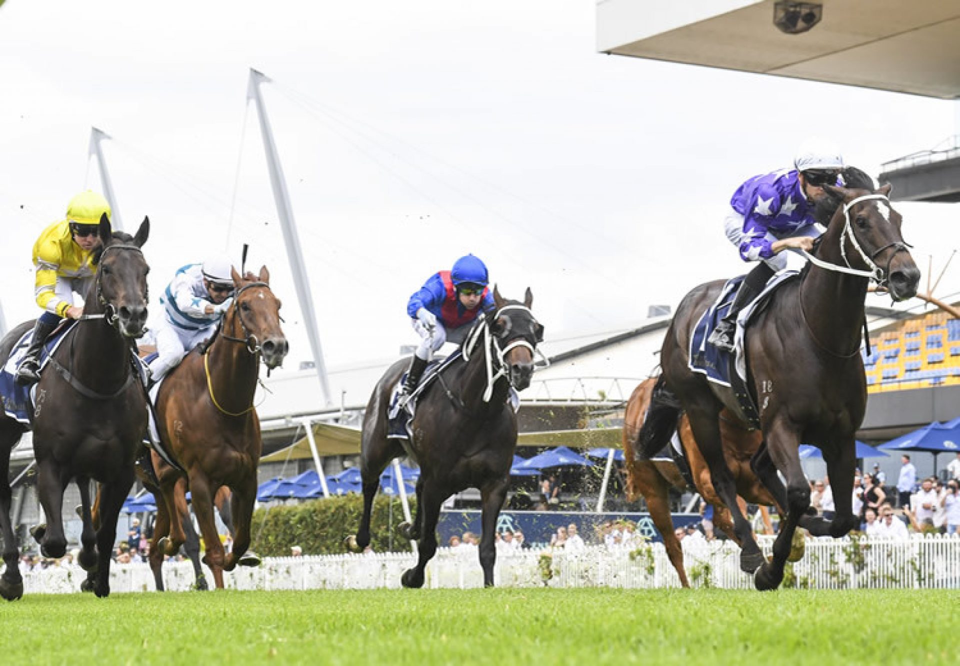 Kalino (Pierro) winning at Rosehill