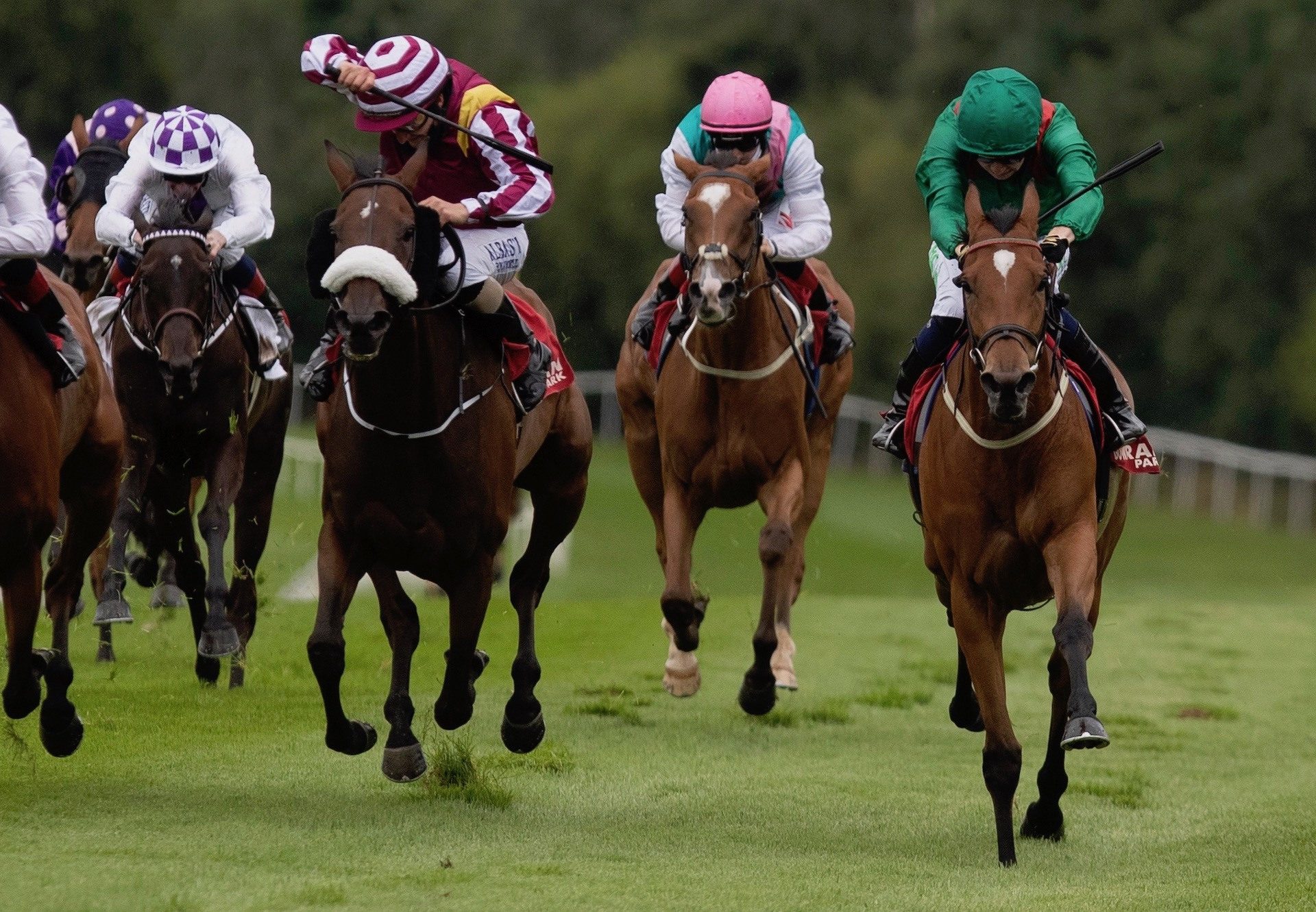 Kastasa (Rock Of Gibraltar) Wins The Listed Vintage Tipple Stakes at Gowran Park