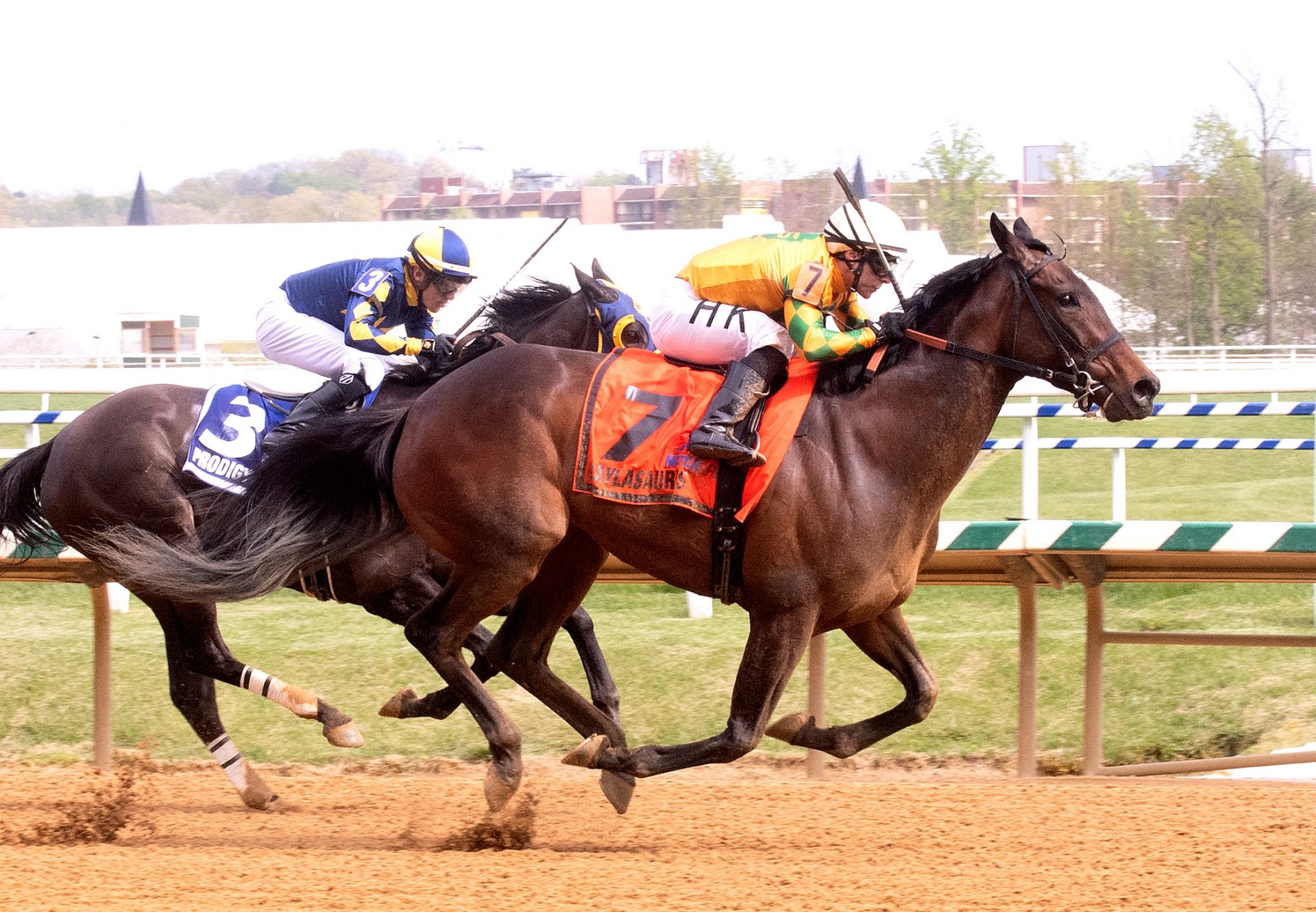 Kaylasaurus (Munnings) winning the Primonetta Stakes at Laurel Park