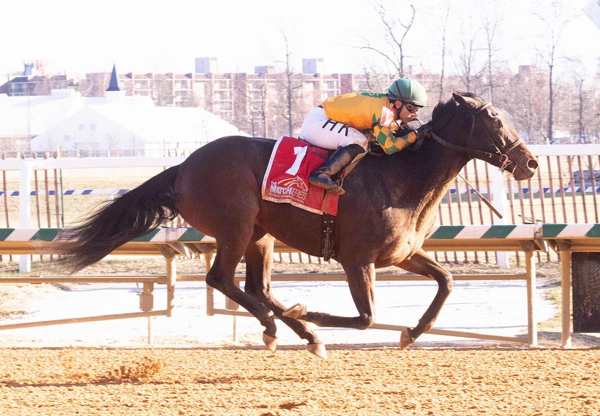 Kaylasaurus (Munnings) wins the Willa On The Move Stakes at Laurel Park