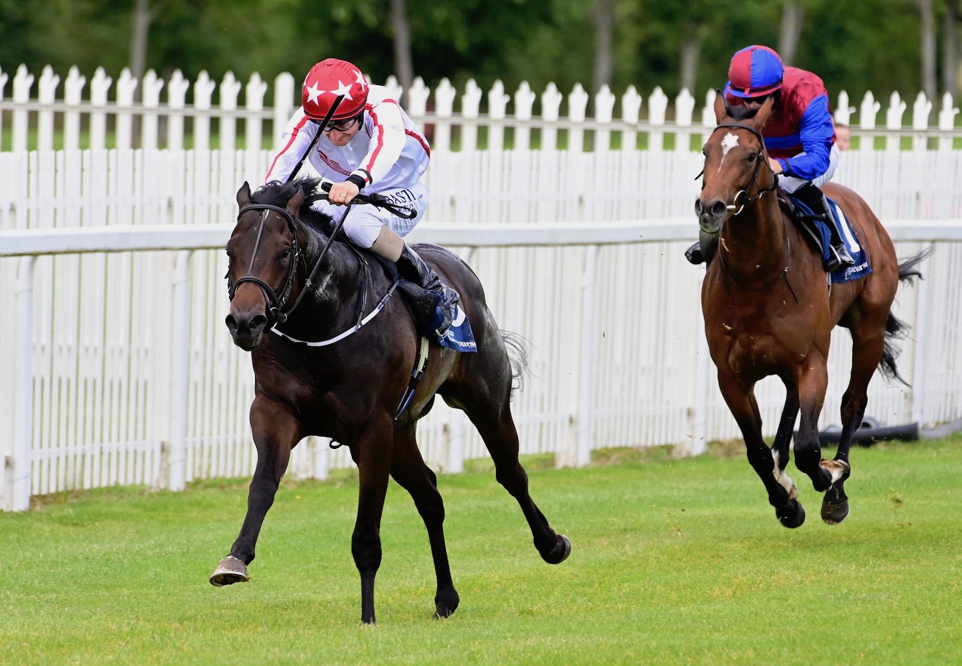 Keepupwithmyempire (Holy Roman Emperor) Gets Off The Mark At Naas