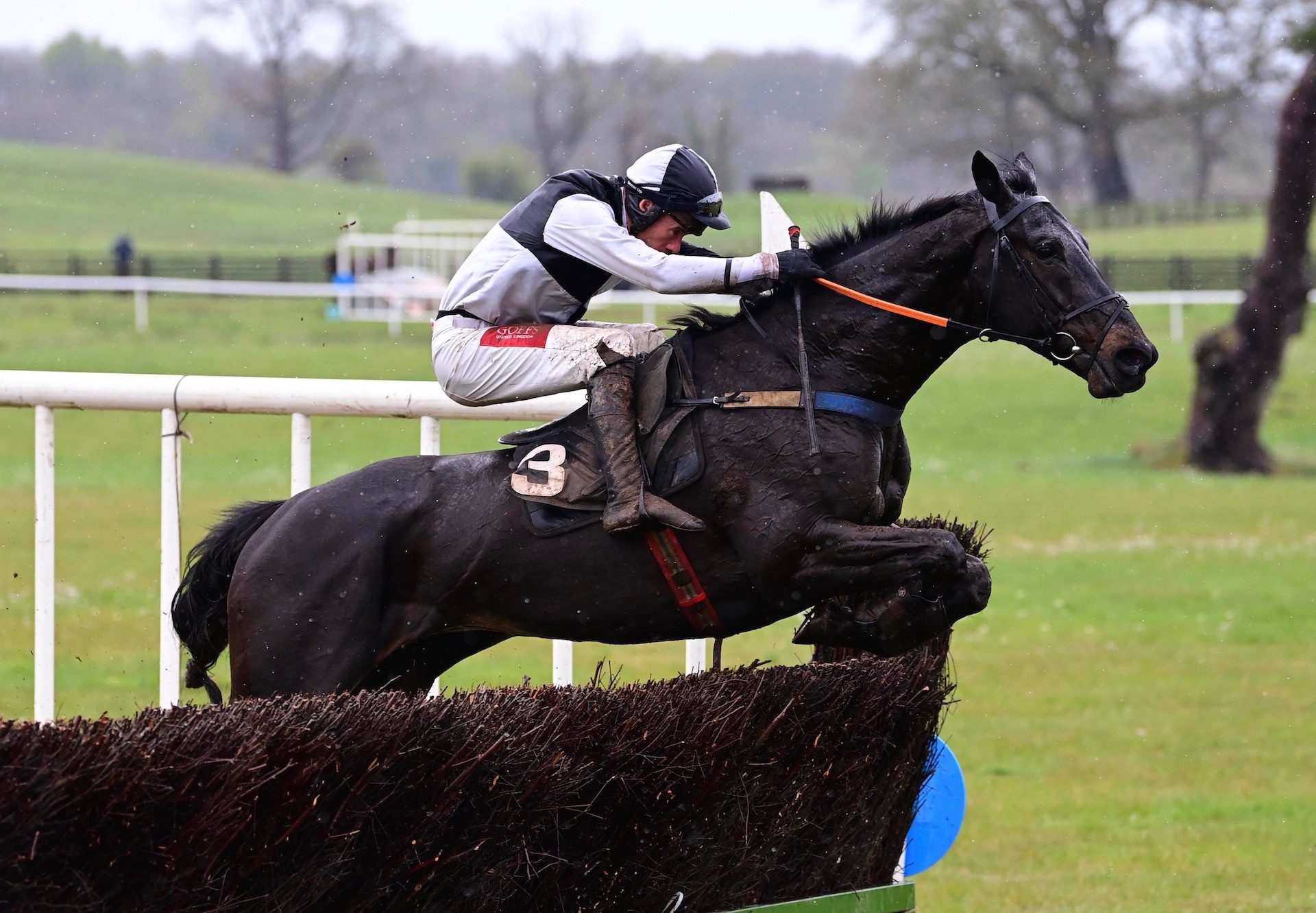Kerryhill (Soldier Of Fortune) winning at Necarne