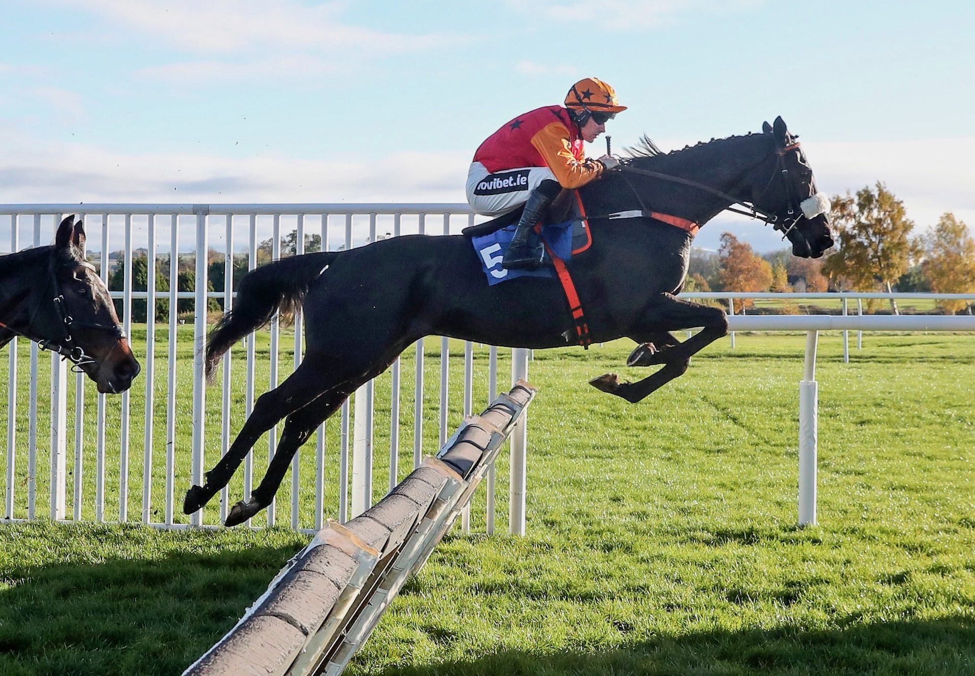 Kerryhill (Soldier Of Fortune) Wins The Novices Hurdle At Kelso