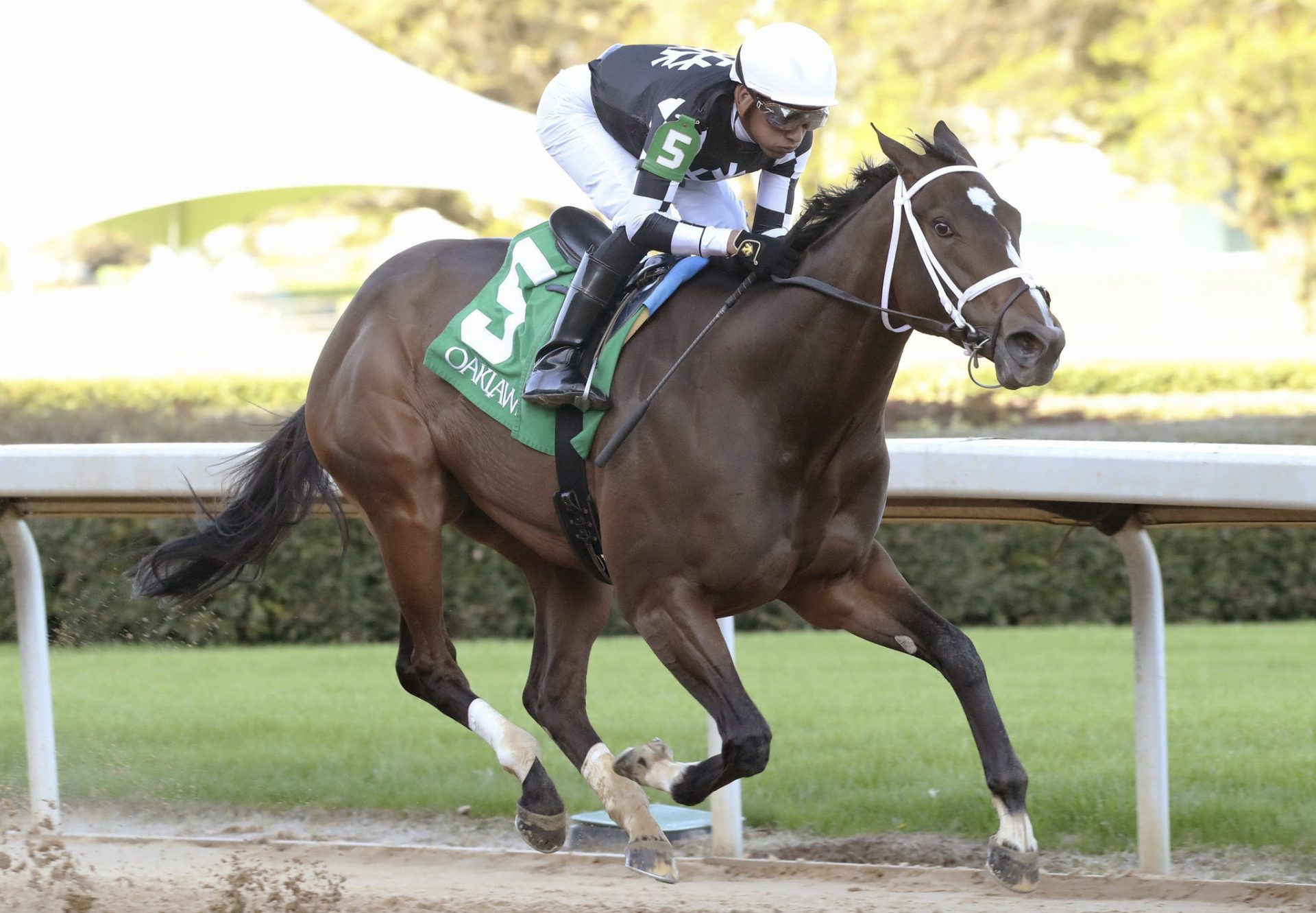 Key Of Life (Mo Town) Wins Purple Martin Stakes at Oaklawn Park