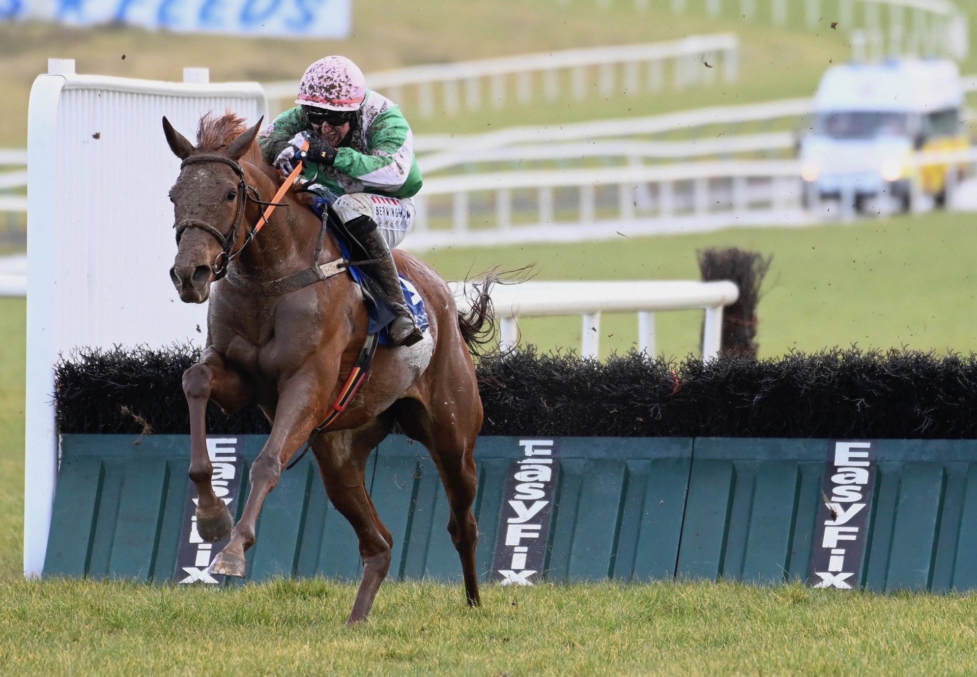 Kilbarry Chloe (Mahler) Wins The Grade 3 Shannon Spray Mares Novice Hurdle at Limerick